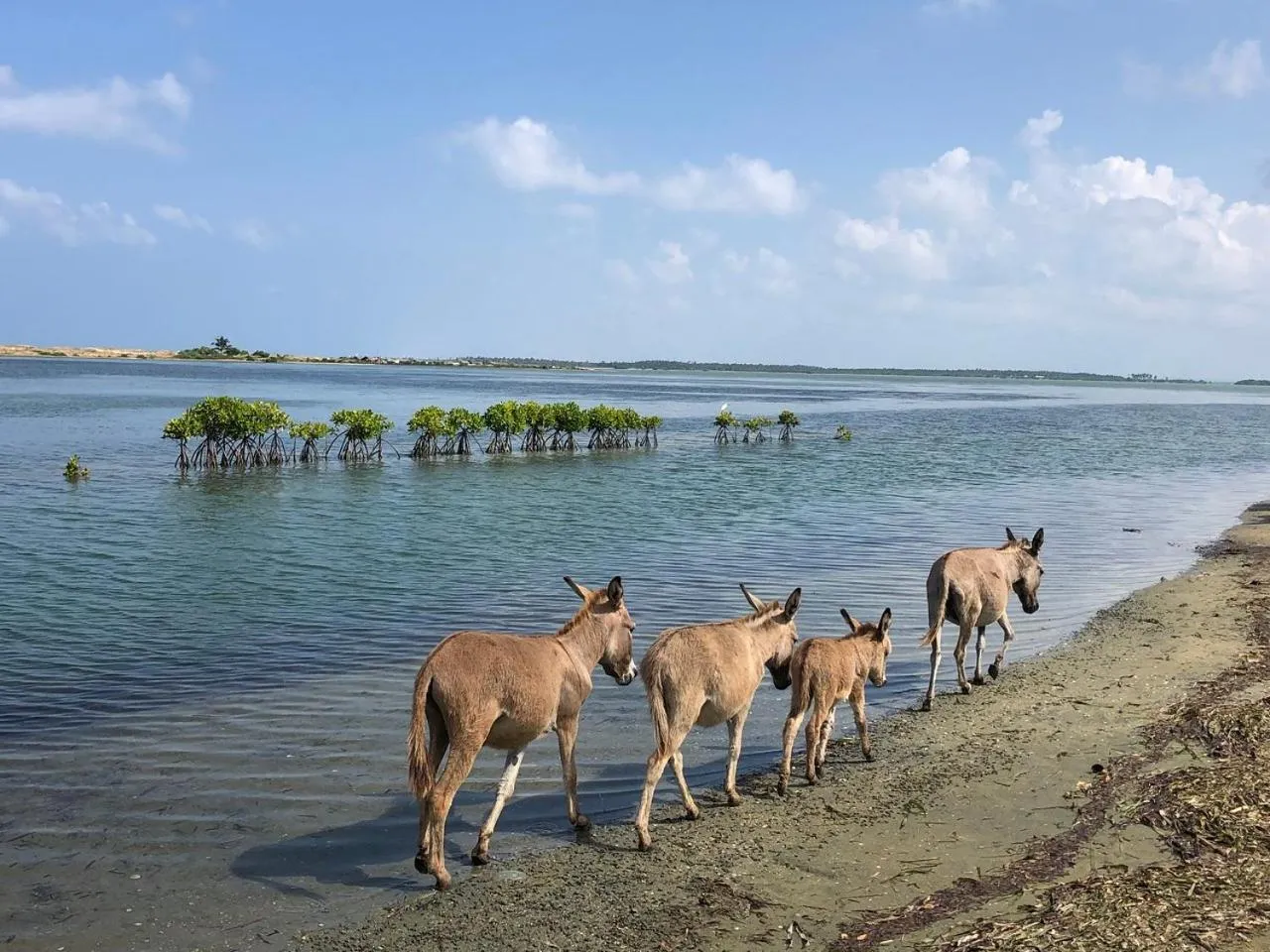 Day in The Blue Lagoon Resort Kalpitiya