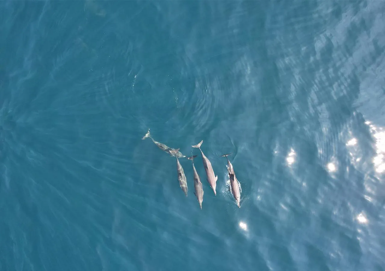People in The Blue Lagoon Resort Kalpitiya