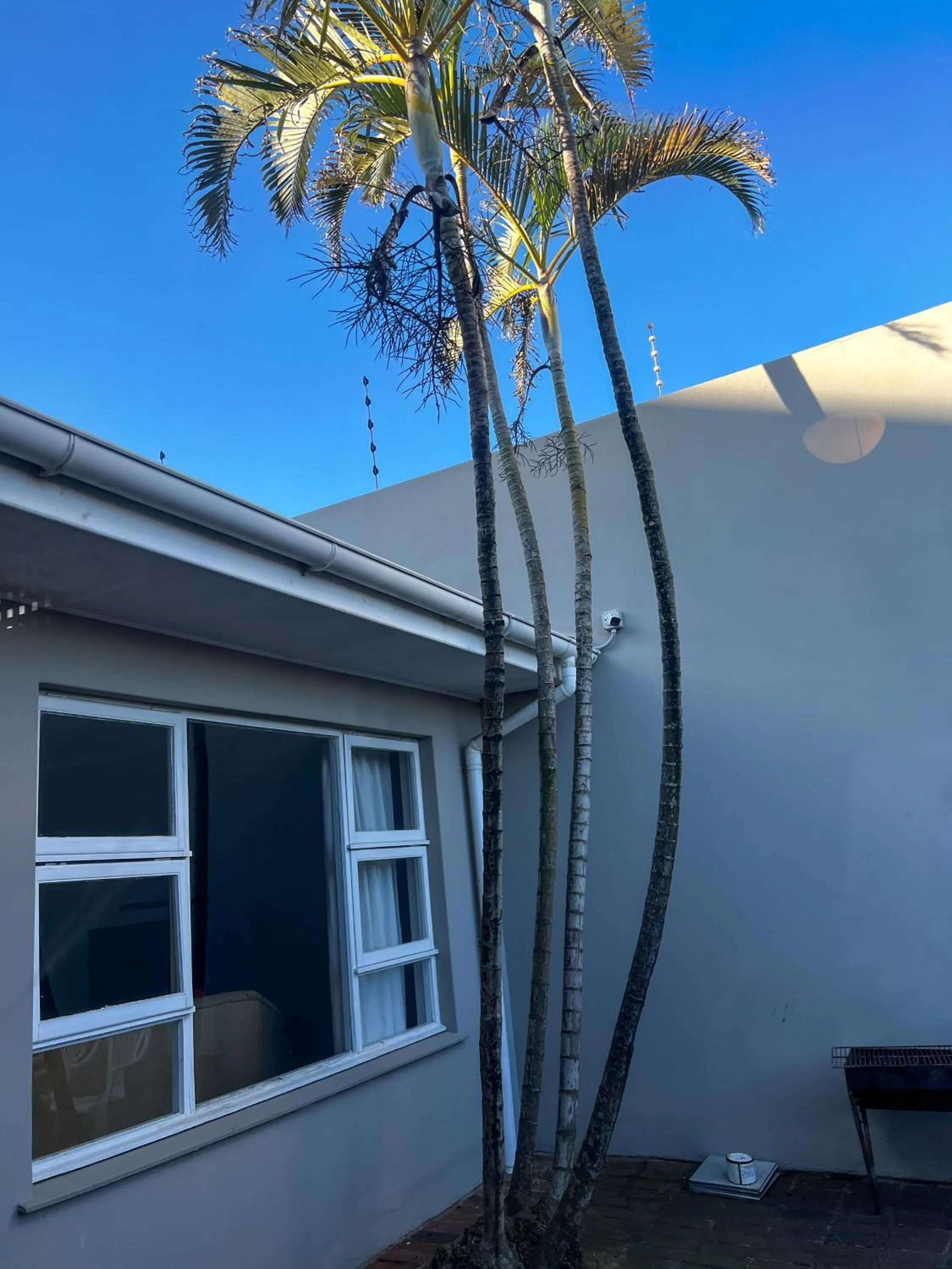 Property building in Goulden Street Guest House