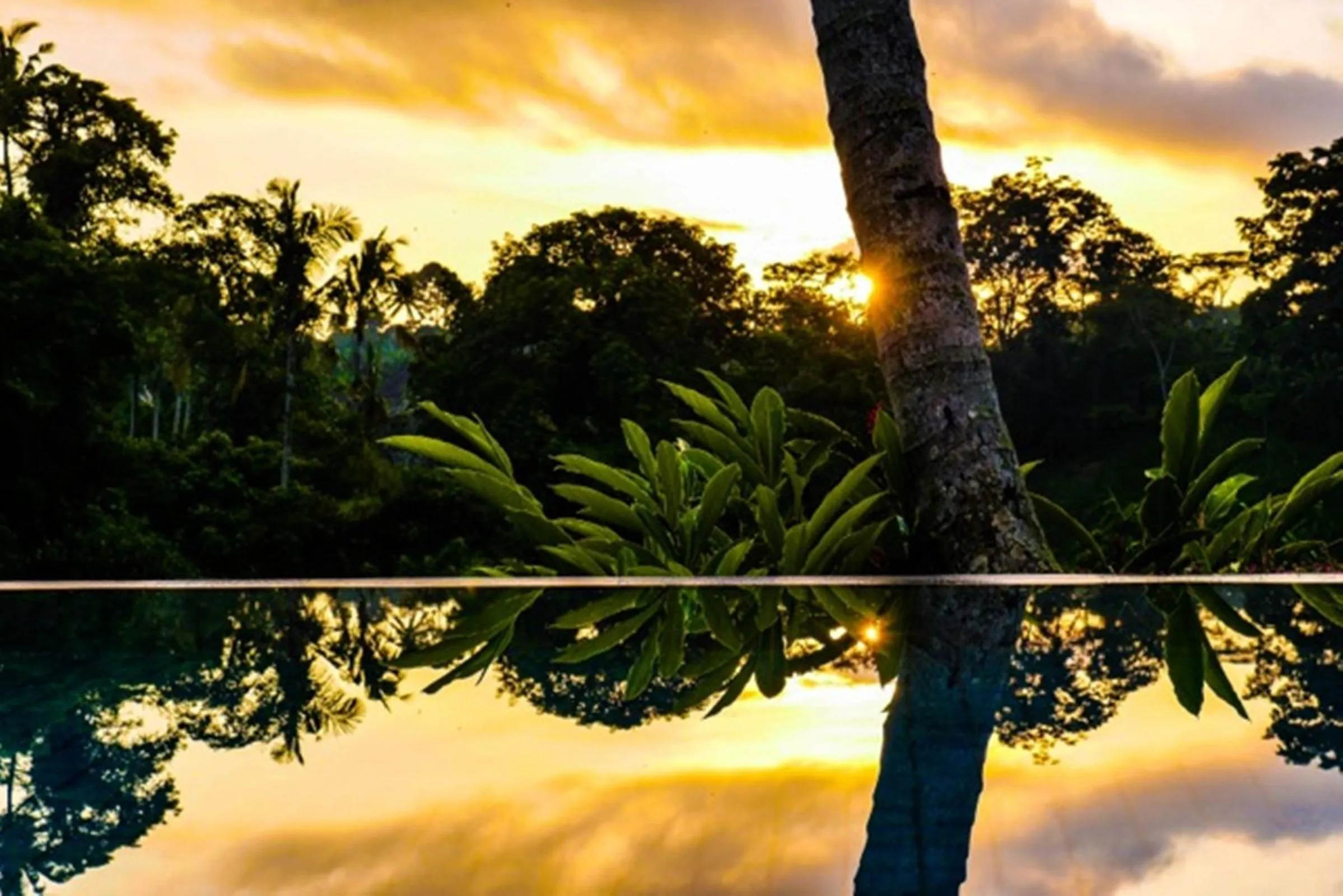 Swimming pool in Kupu Kupu Private Villa