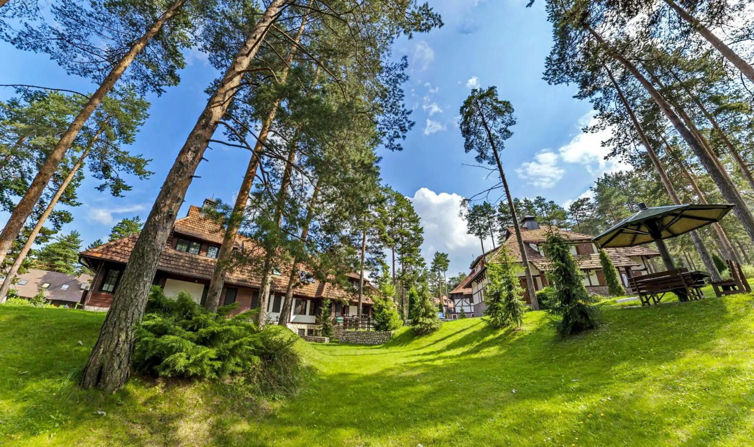 Natural landscape in KRALjEVI KONACI ZLATIBOR