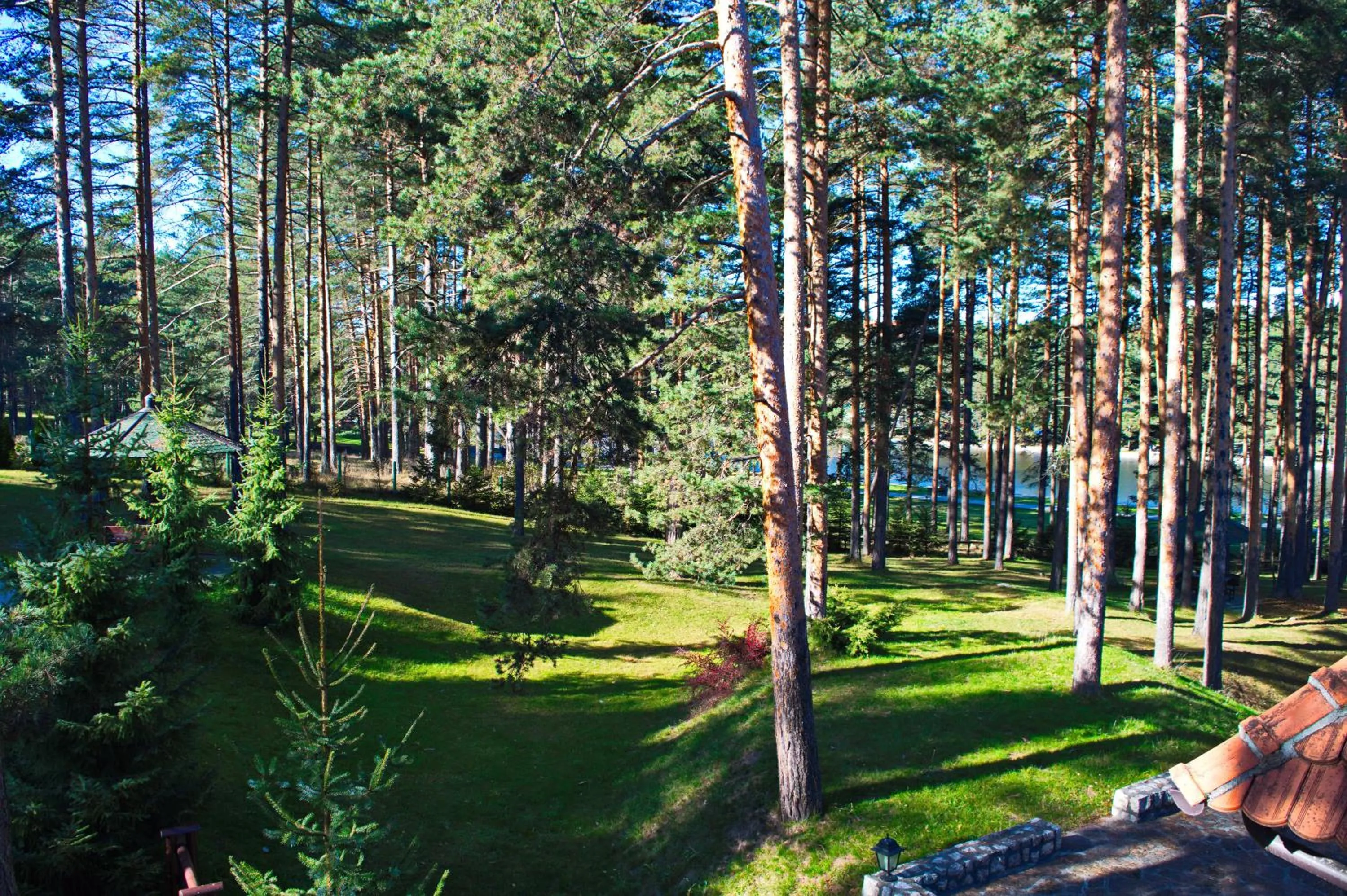 Nearby landmark in KRALjEVI KONACI ZLATIBOR