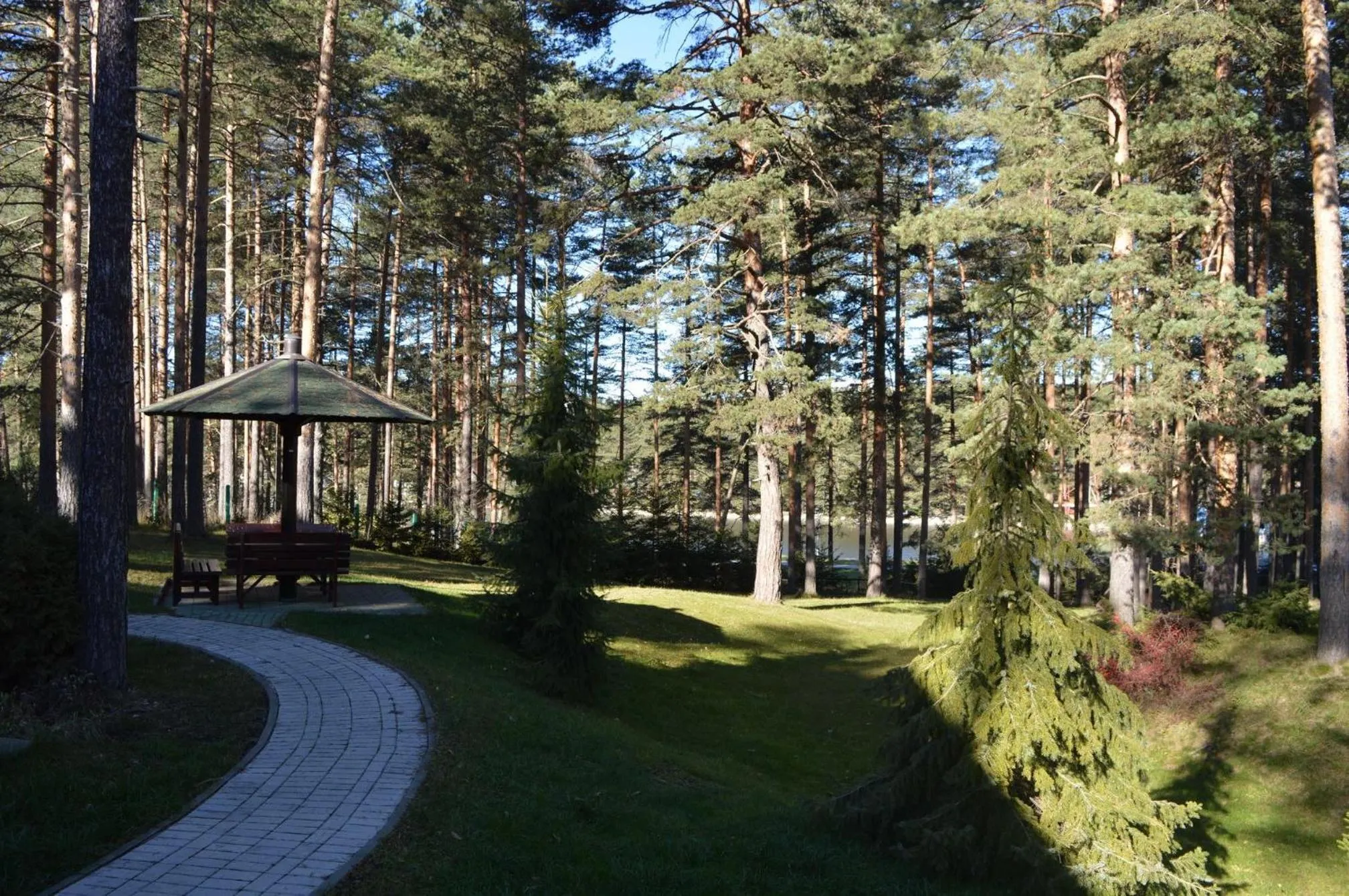 Garden view in KRALjEVI KONACI ZLATIBOR