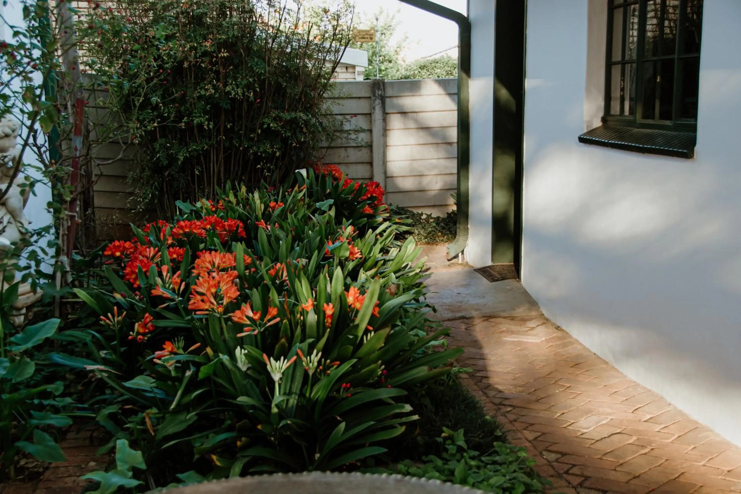 Alec Wright's Guest Lodge