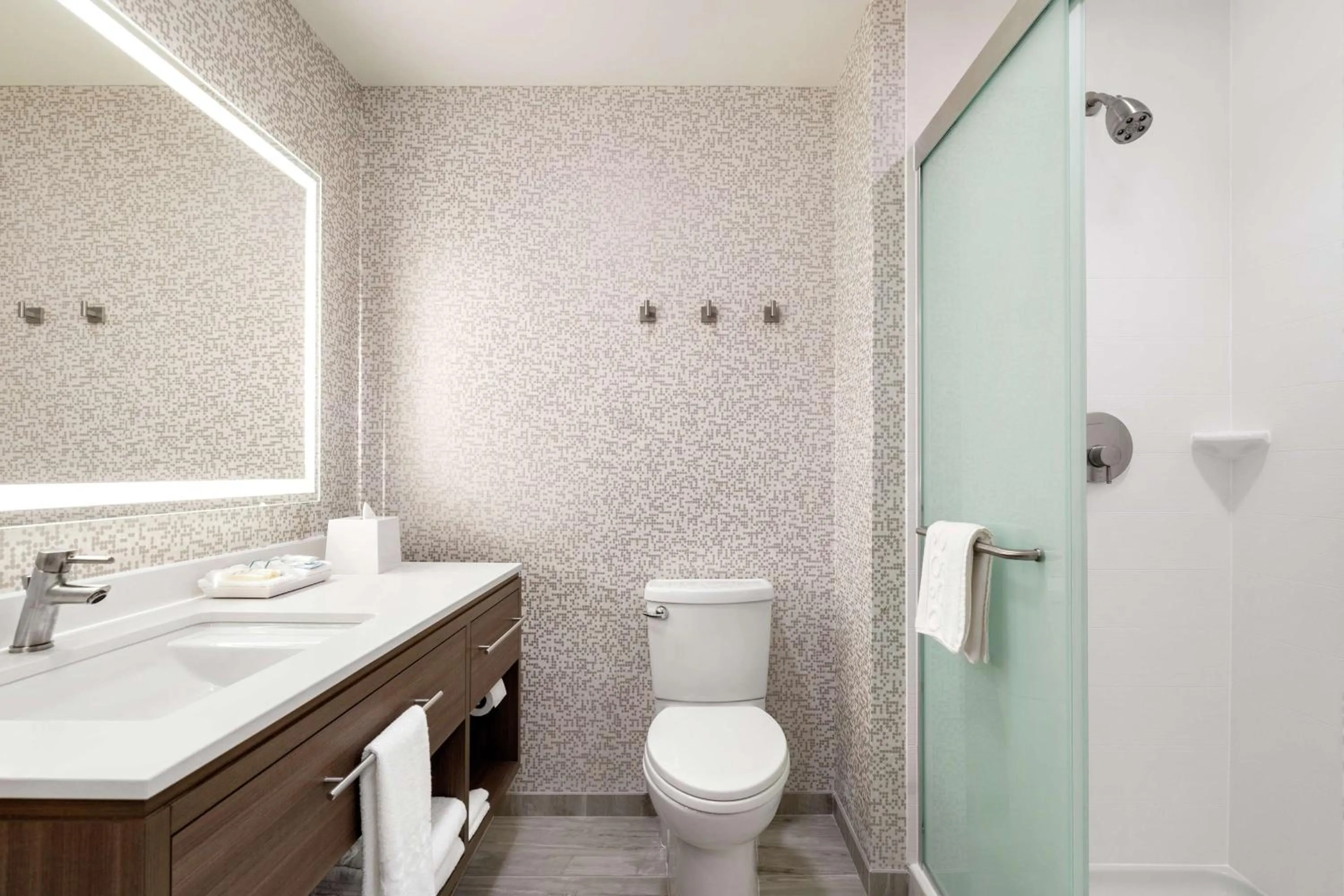 Bathroom in Home2 Suites By Hilton Alamogordo White Sands