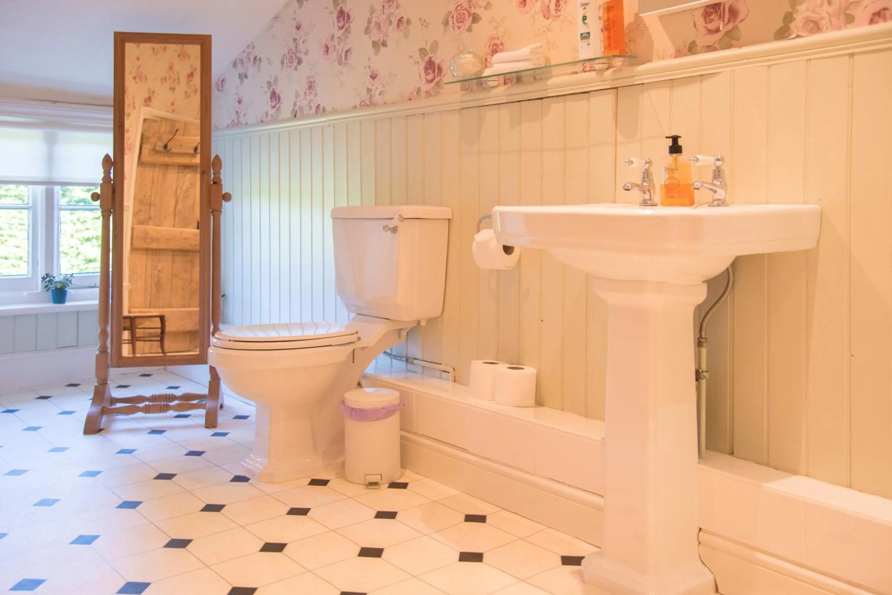 Toilet in Lower House B&B and Cottages, Adforton
