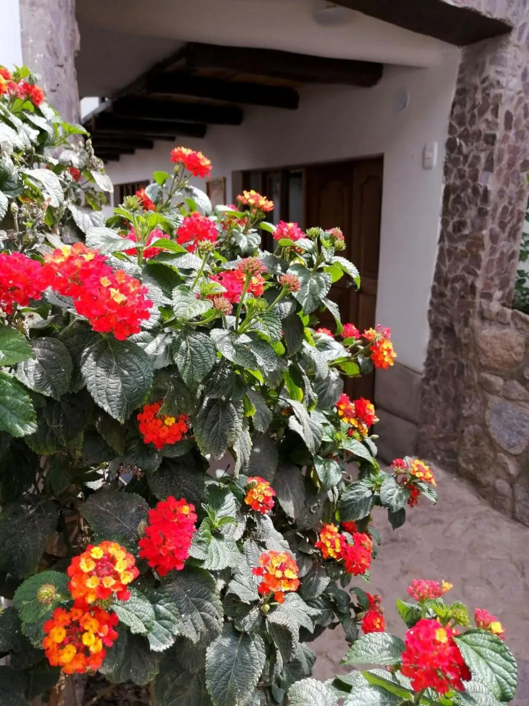 Patio in MAMA GREEN HOSTAL - Eco Andean Experience and Permaculture Farm - Vegetarian Breakfast