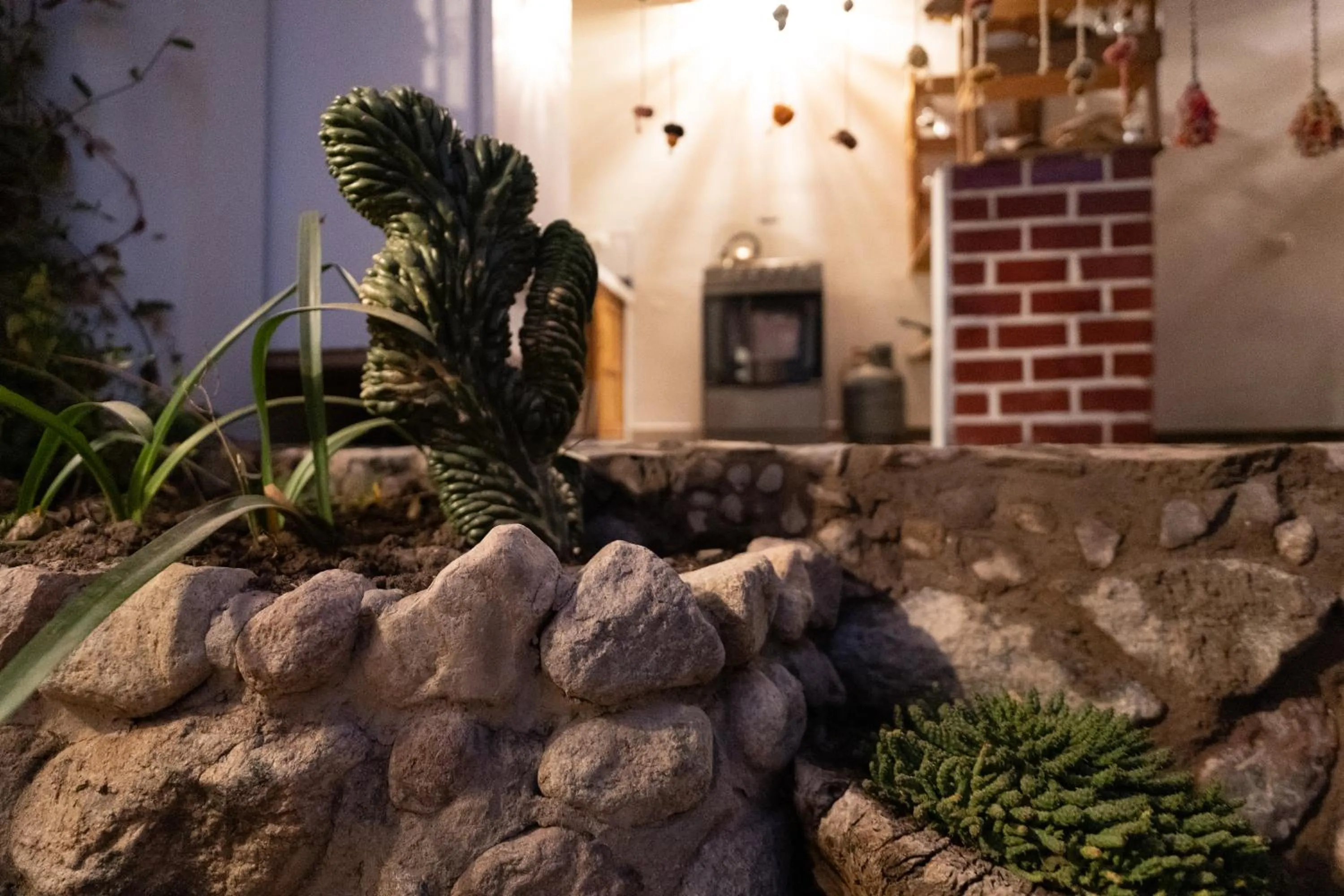 Patio in MAMA GREEN HOSTAL - Eco Andean Experience and Permaculture Farm - Vegetarian Breakfast