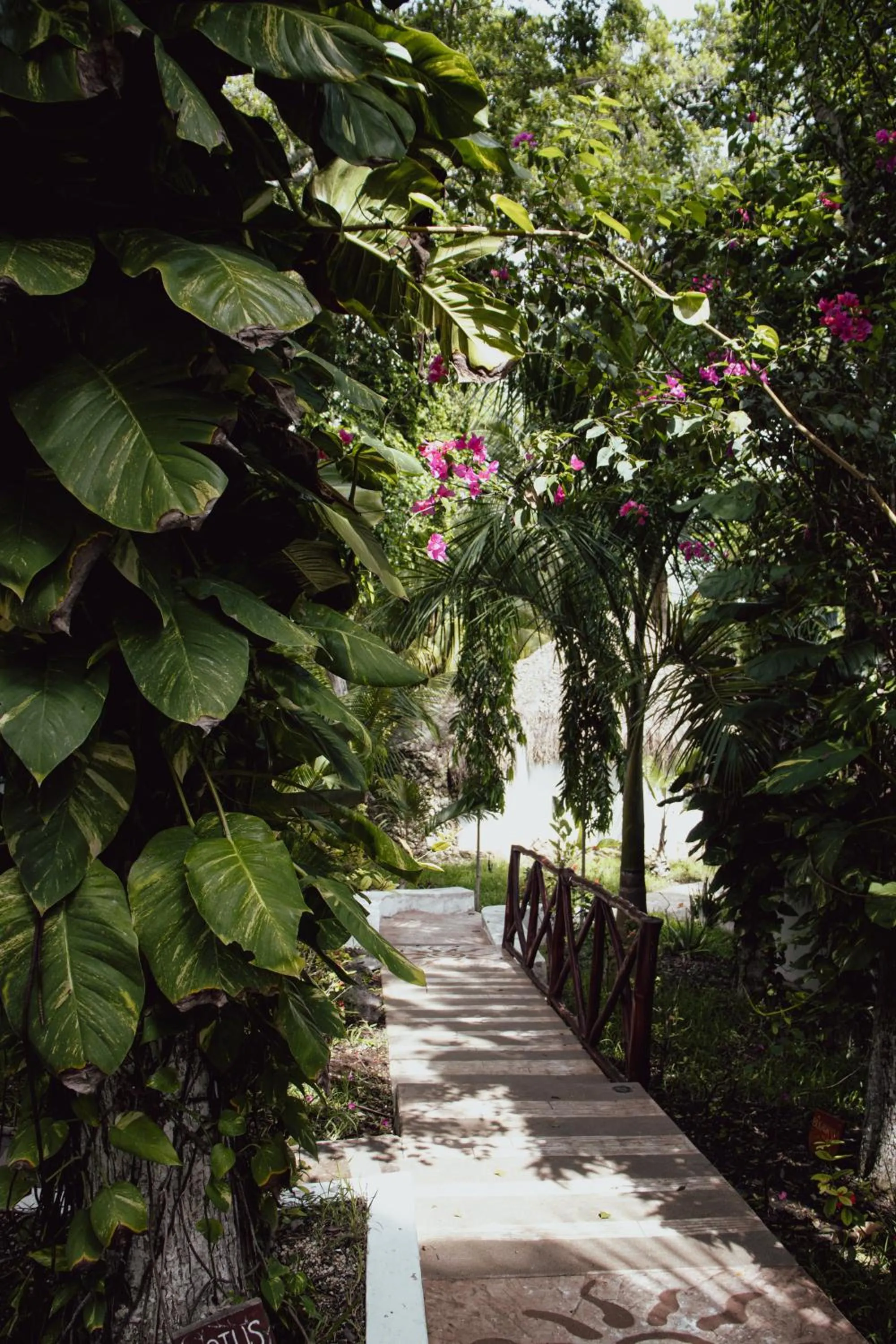 Day in Aurea Bacalar