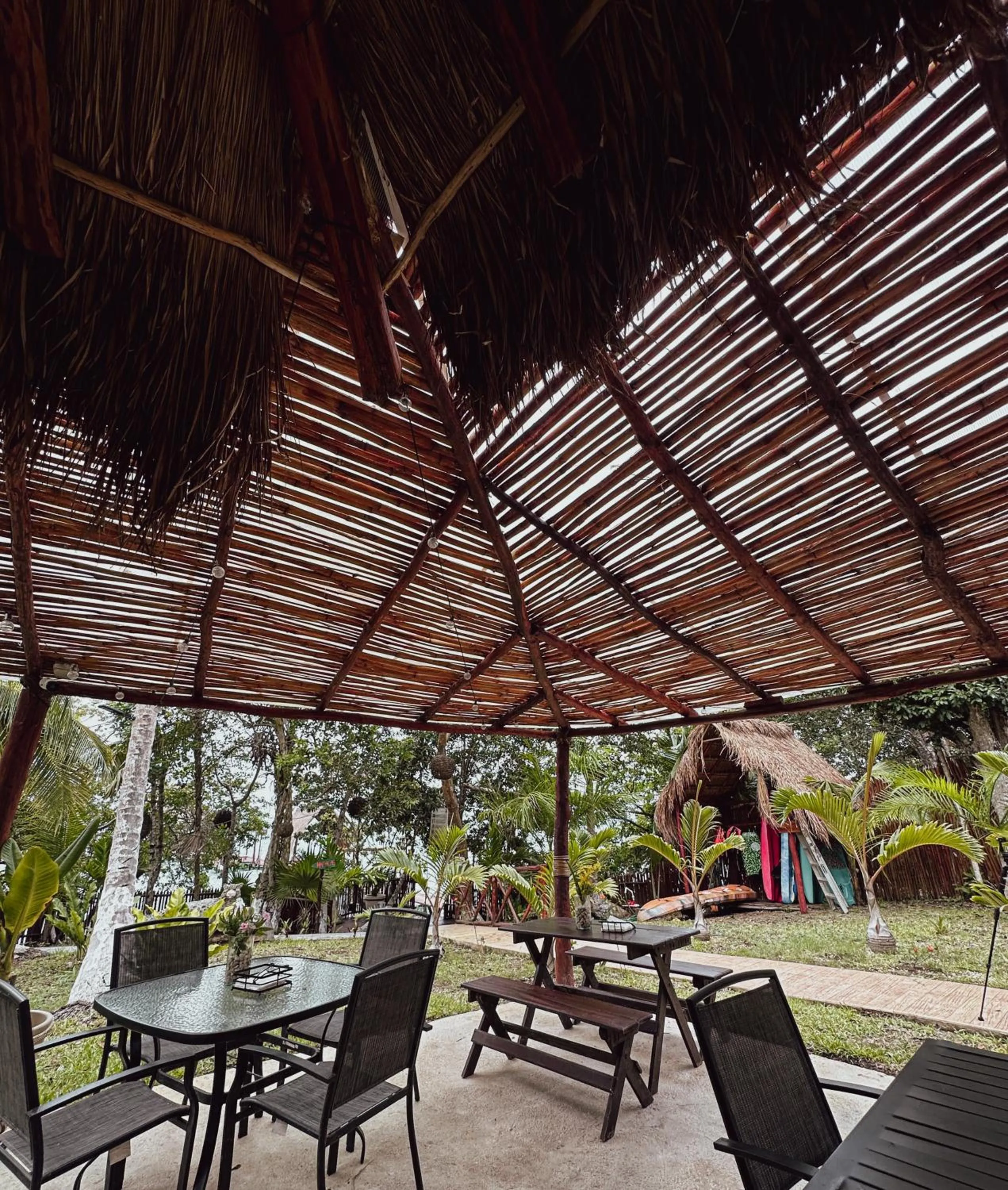 Restaurant/places to eat in Aurea Bacalar