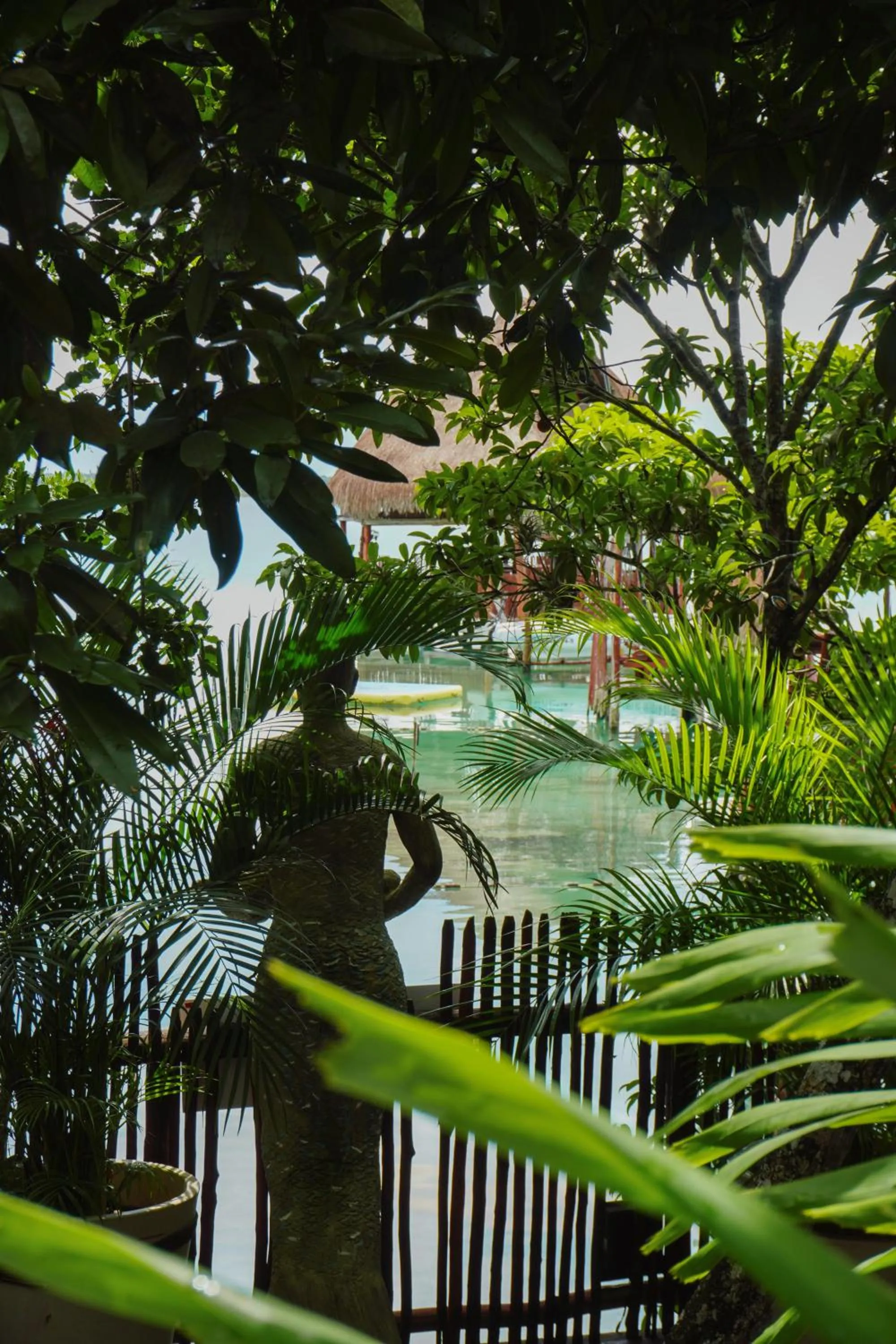 Day in Aurea Bacalar