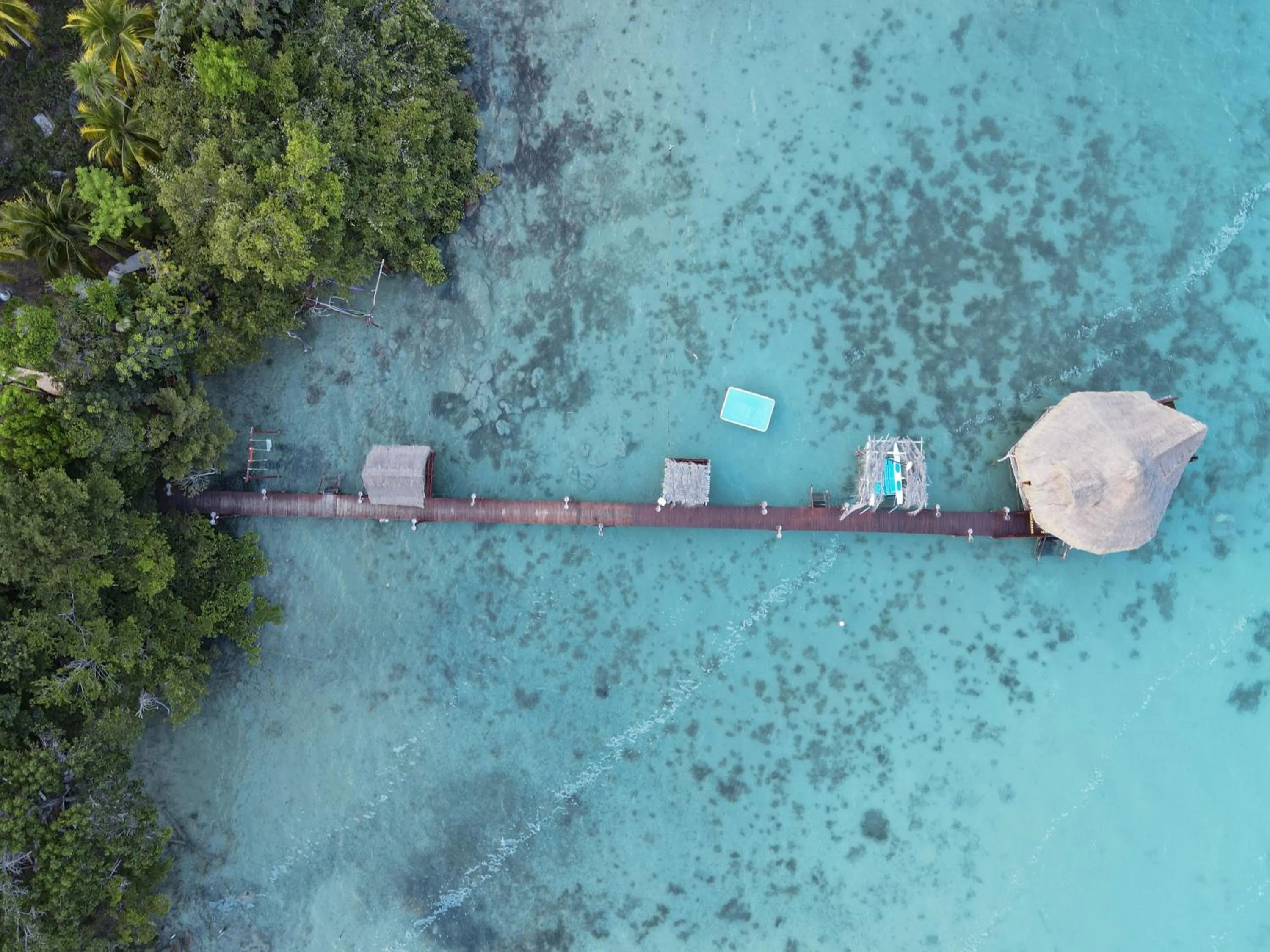 Natural landscape in Aurea Bacalar