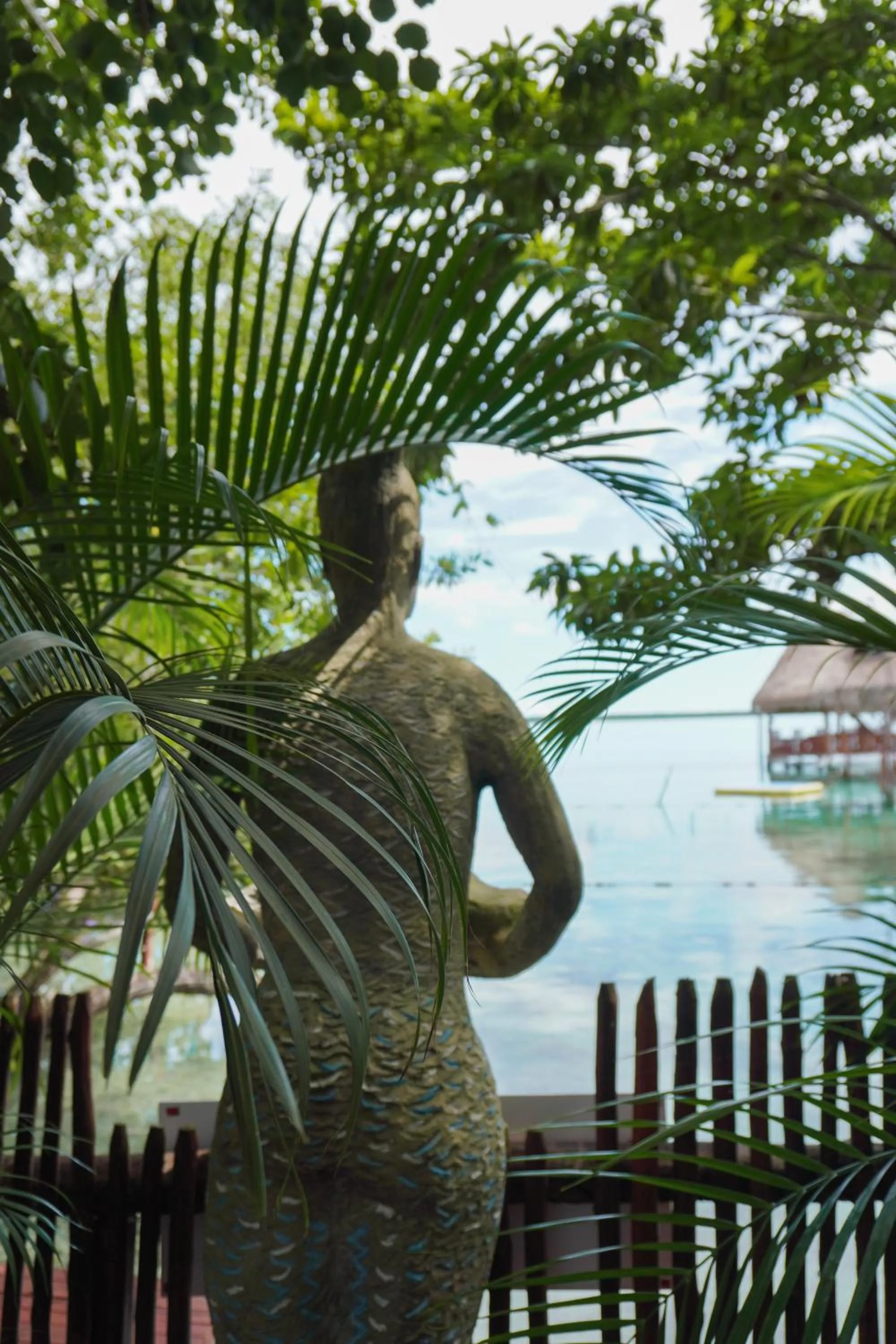 Natural landscape in Aurea Bacalar