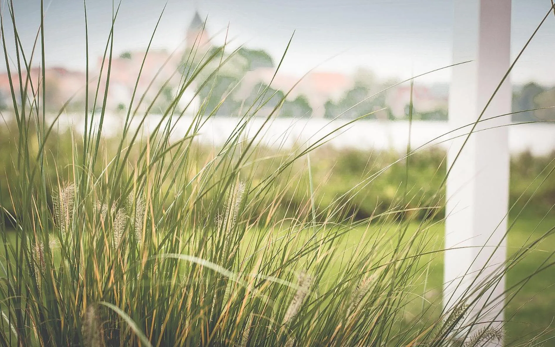 Garden in Seehotel Schwanenhof