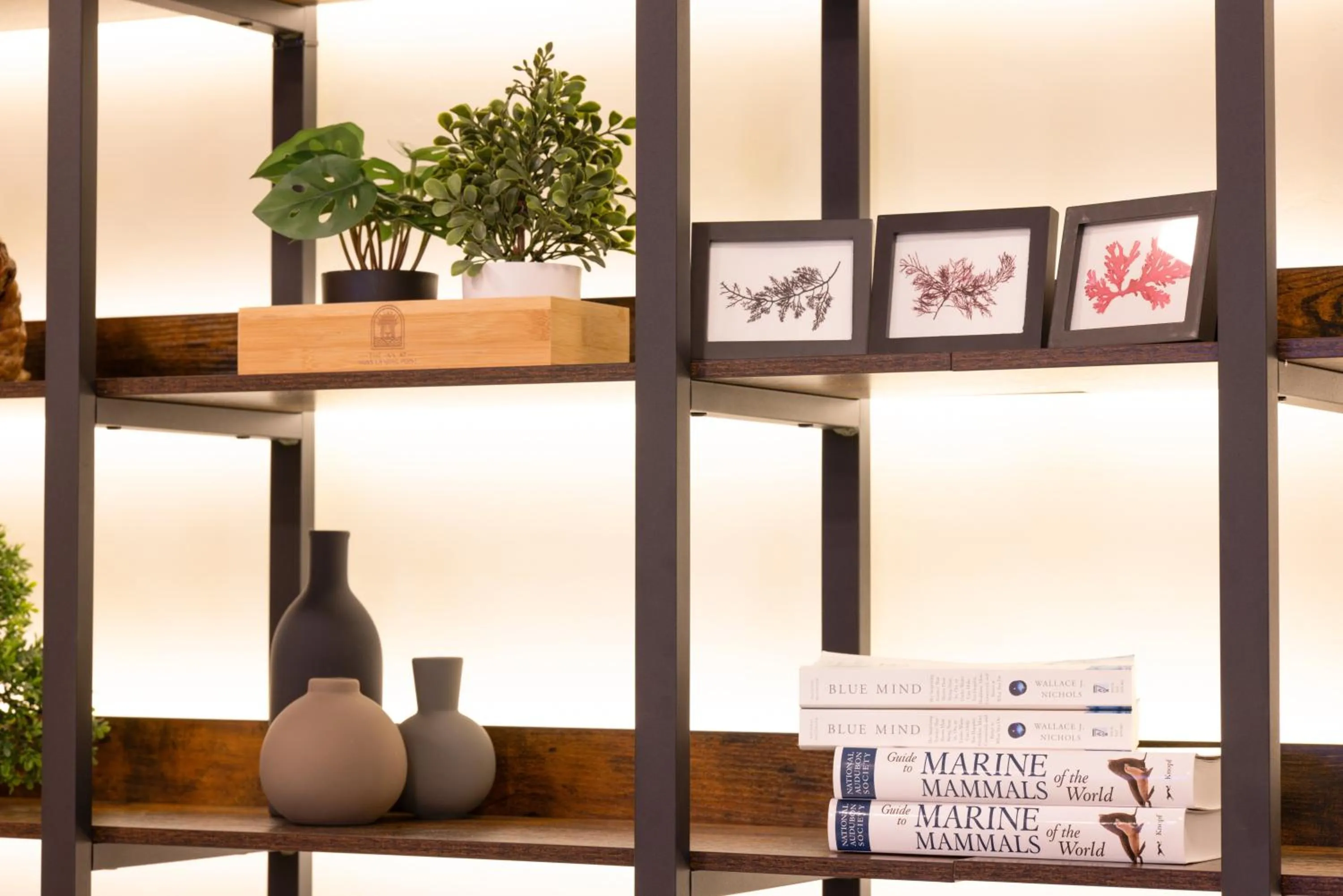 Lobby or reception in Inn At Moss Landing Point