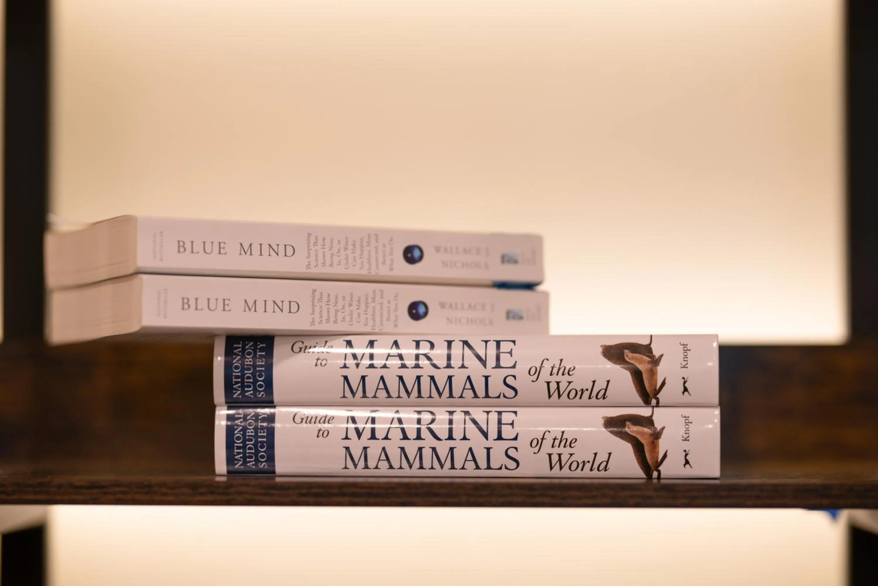 Lobby or reception in Inn At Moss Landing Point