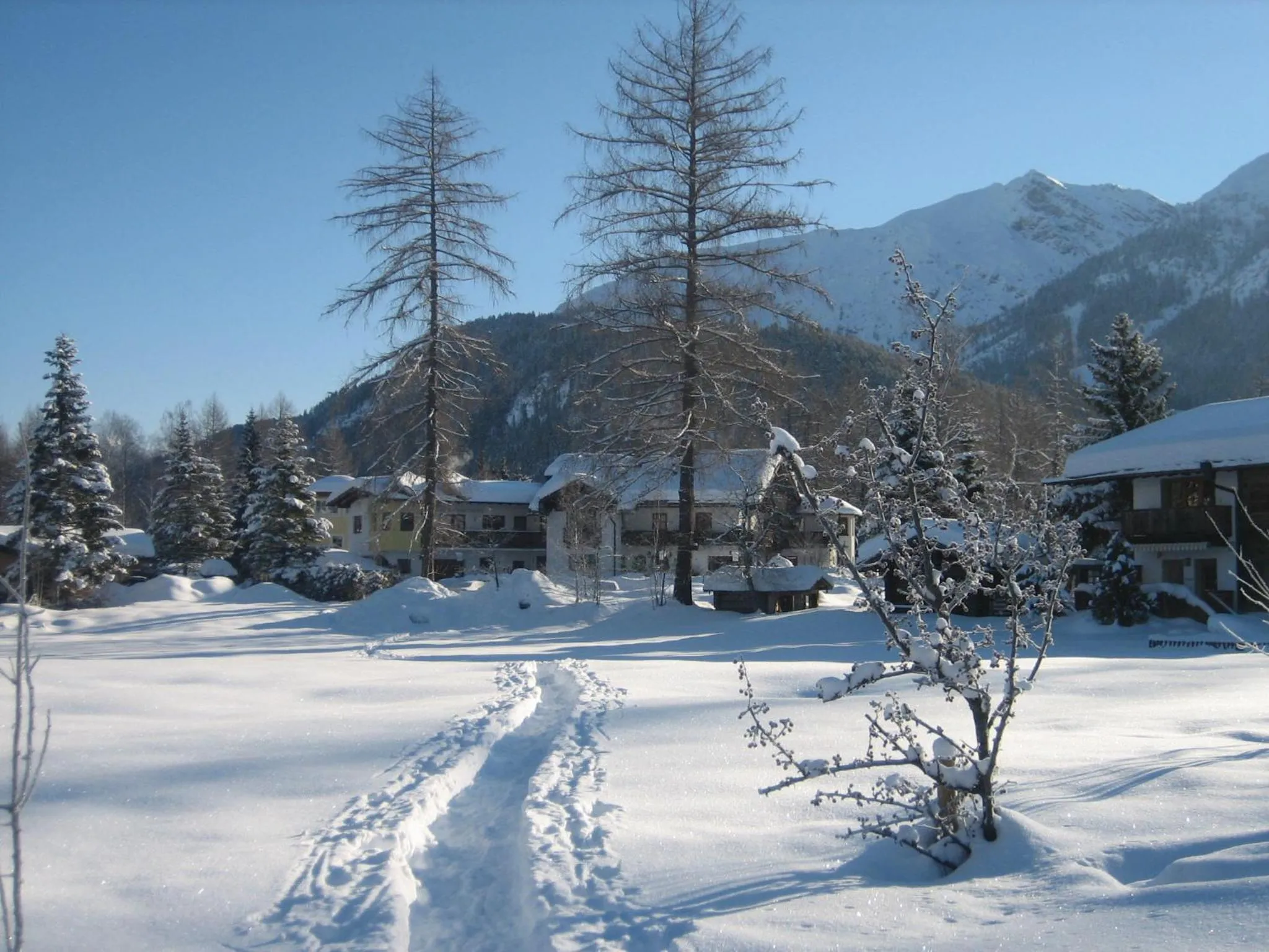 Skiing in Landhaus Charlotte Apartments Tirol