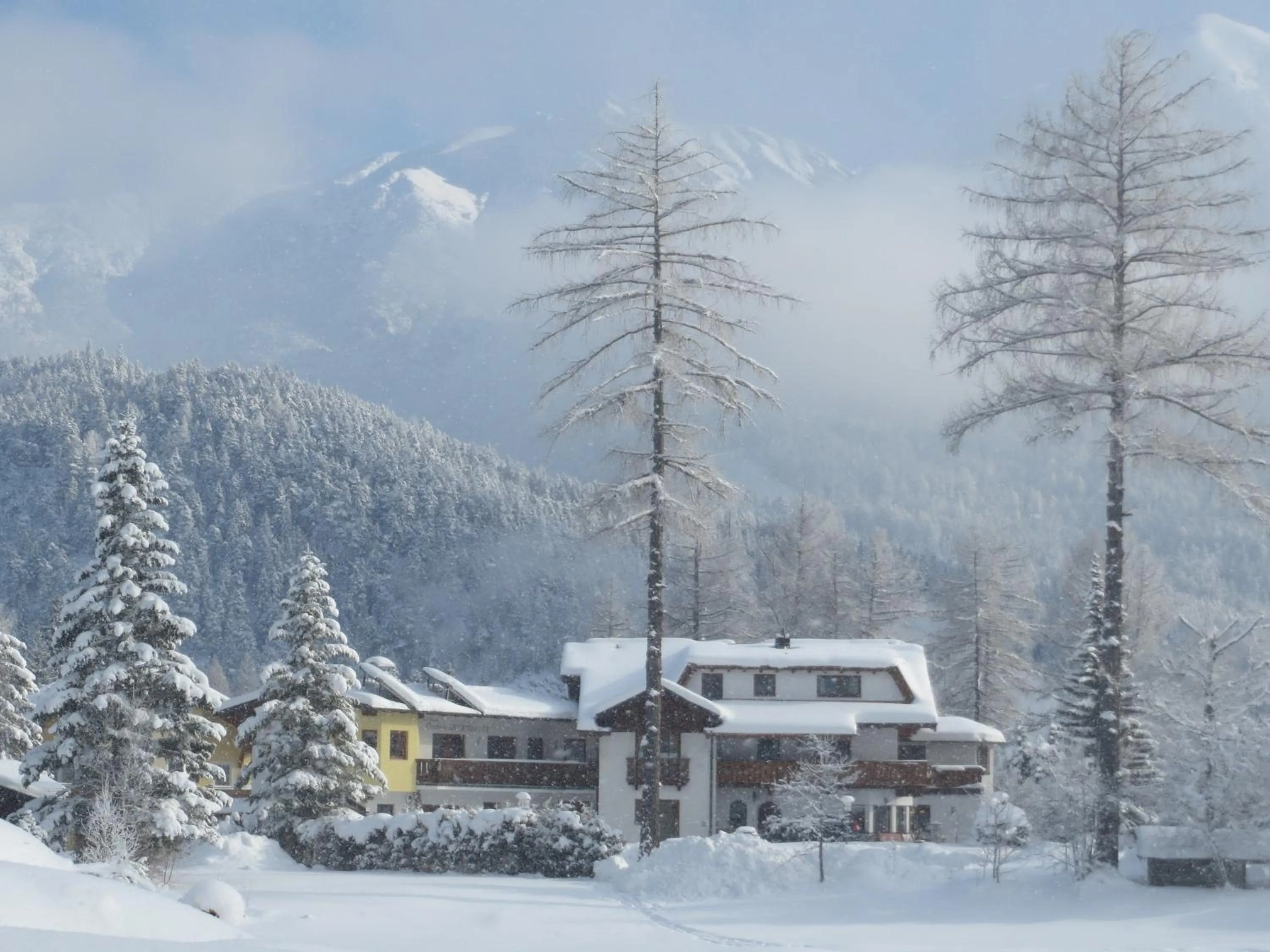 Garden view in Landhaus Charlotte Apartments Tirol
