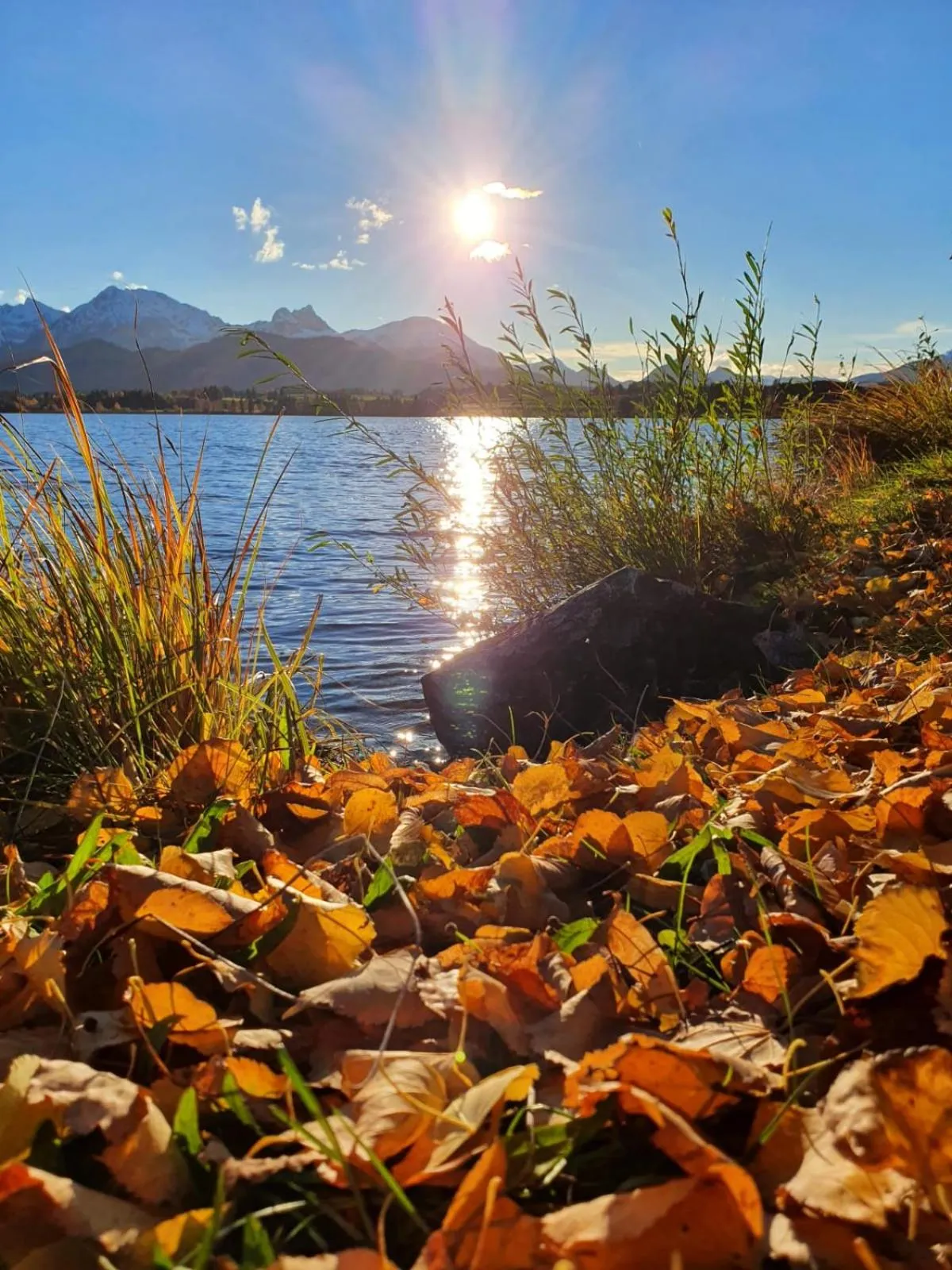 Natural landscape in Hotel Geiger