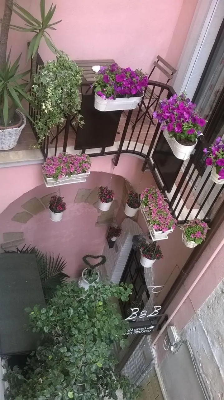 Balcony/Terrace in B&B La Maison Del Borgo Antico