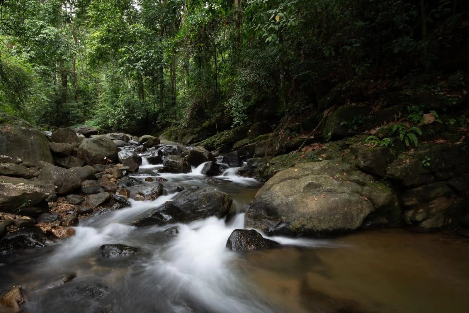 Natural landscape in Moksha at Kitulgala - Rainforest Boutique Hotel