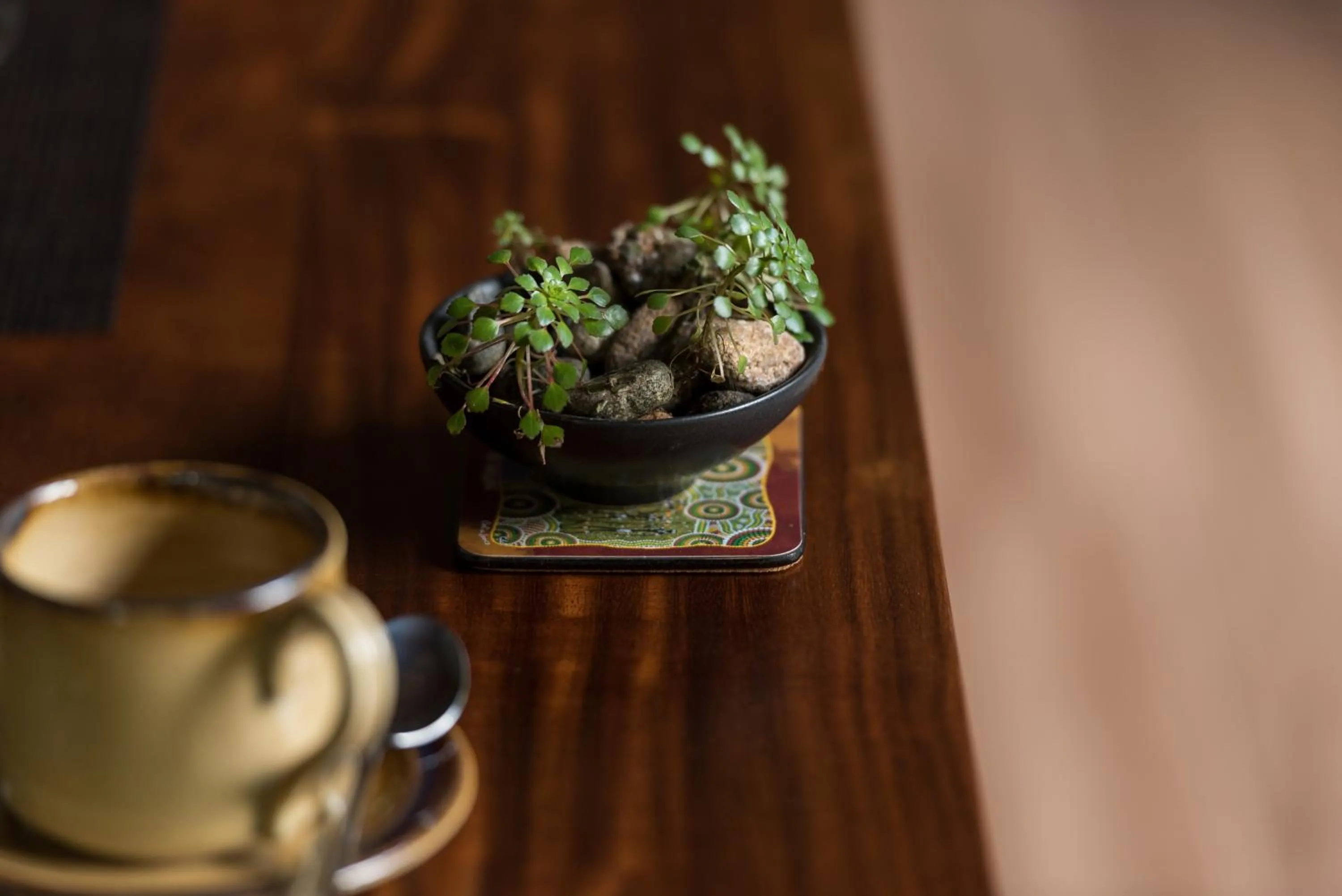 Coffee/tea facilities in Moksha at Kitulgala - Rainforest Boutique Hotel