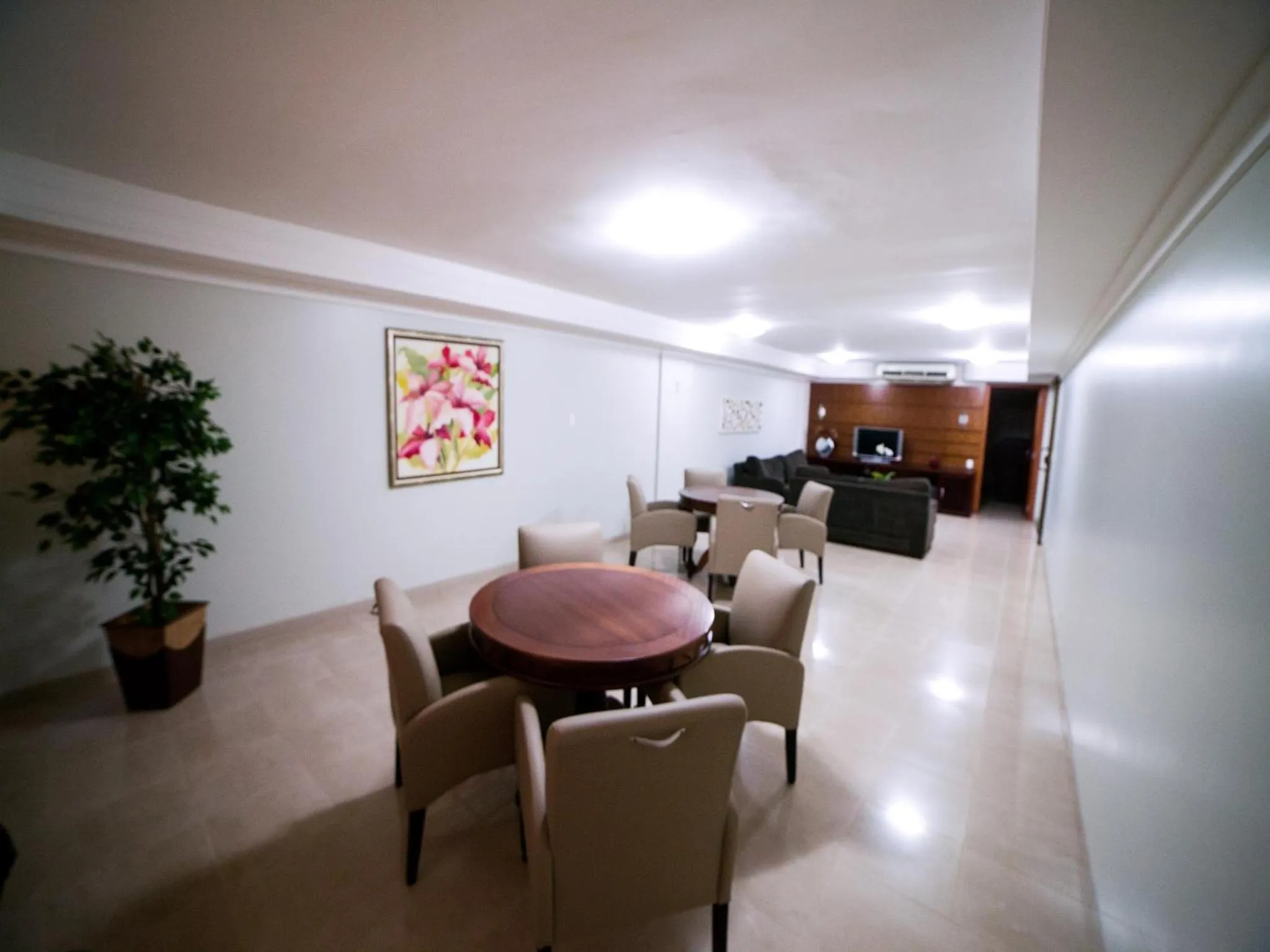 Communal lounge/ TV room in Copas Executive Hotel