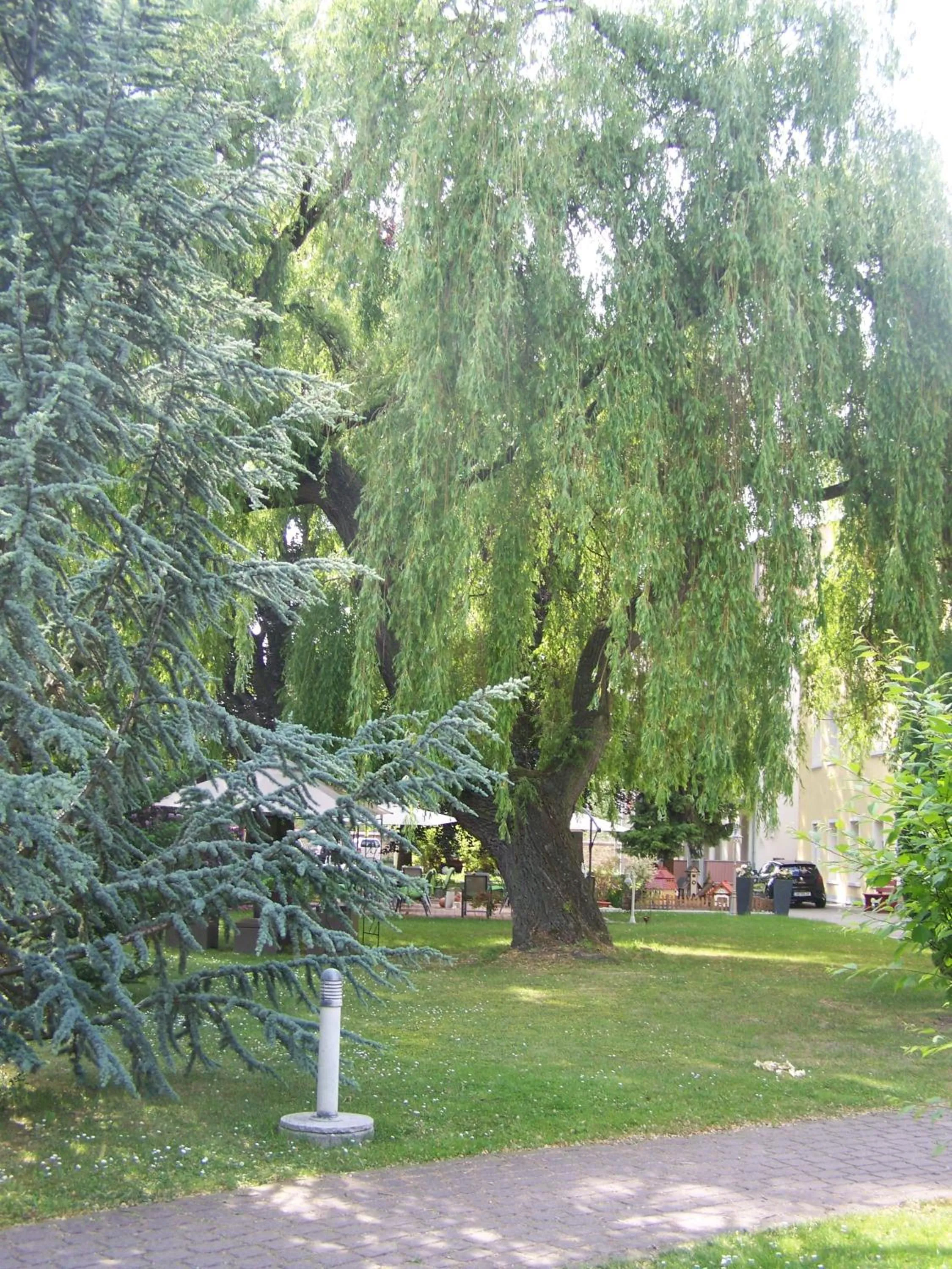 Garden in Dresdner Hof