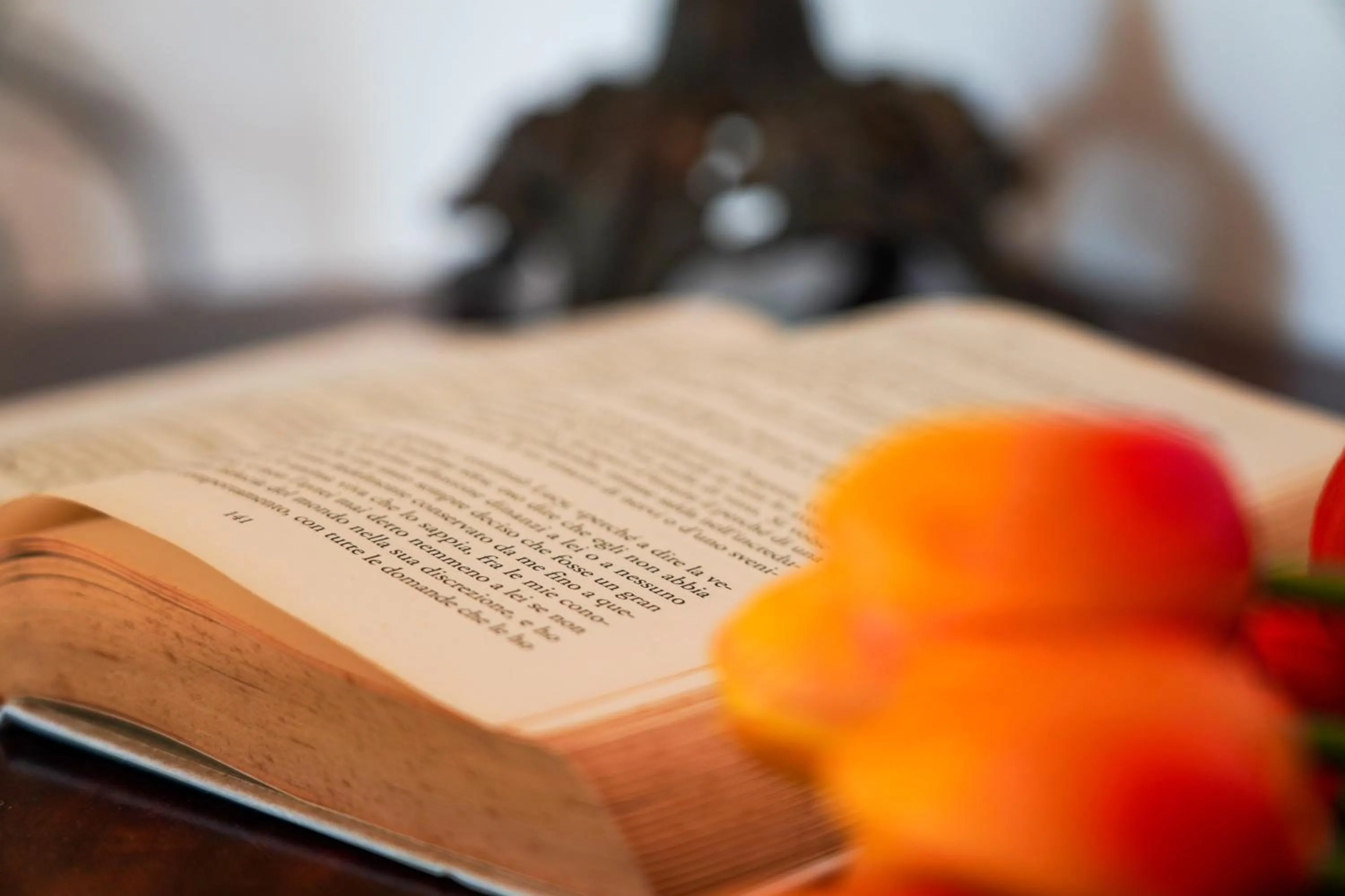 Library in Fonte Murata B&B