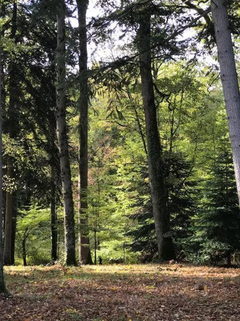 Garden in Domaine de la Vaudourière