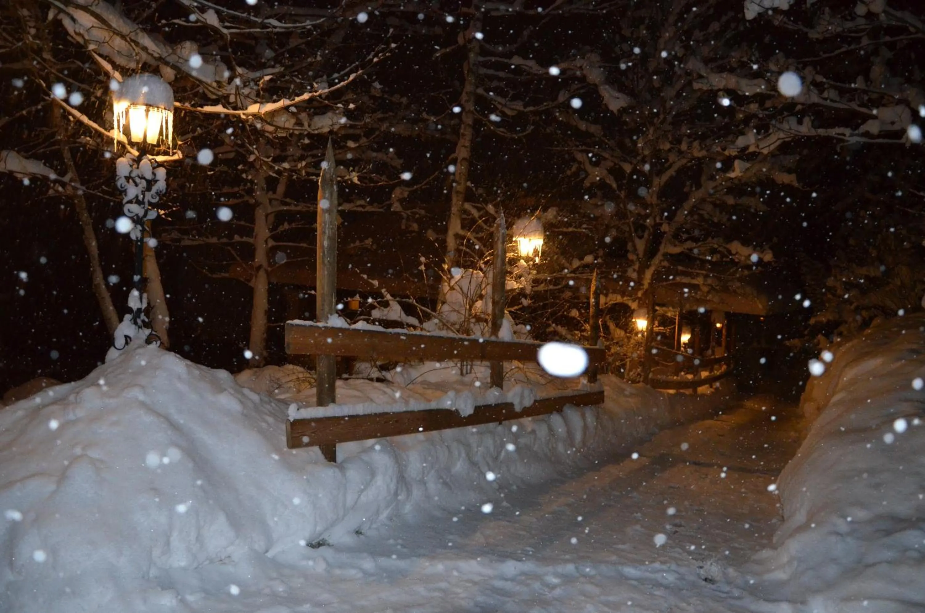 Area and facilities in Sporthotel Zugspitze