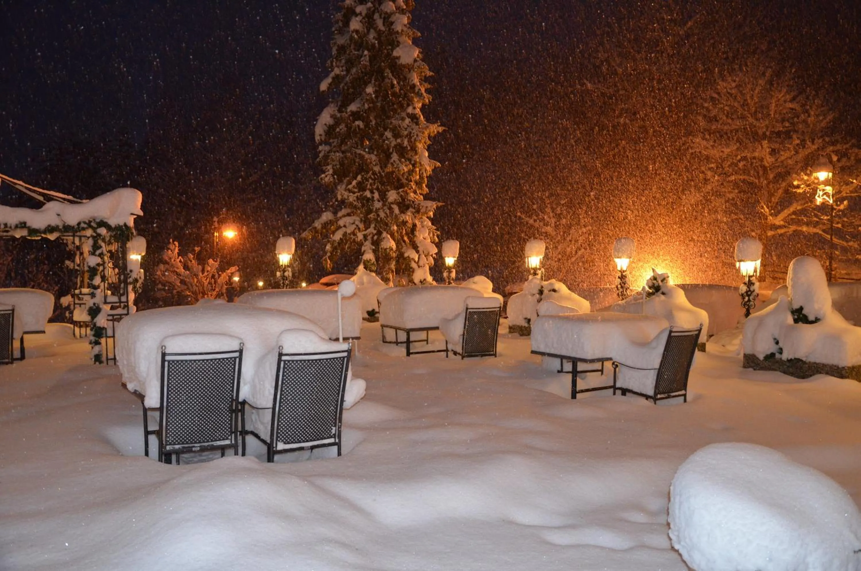 Area and facilities in Sporthotel Zugspitze