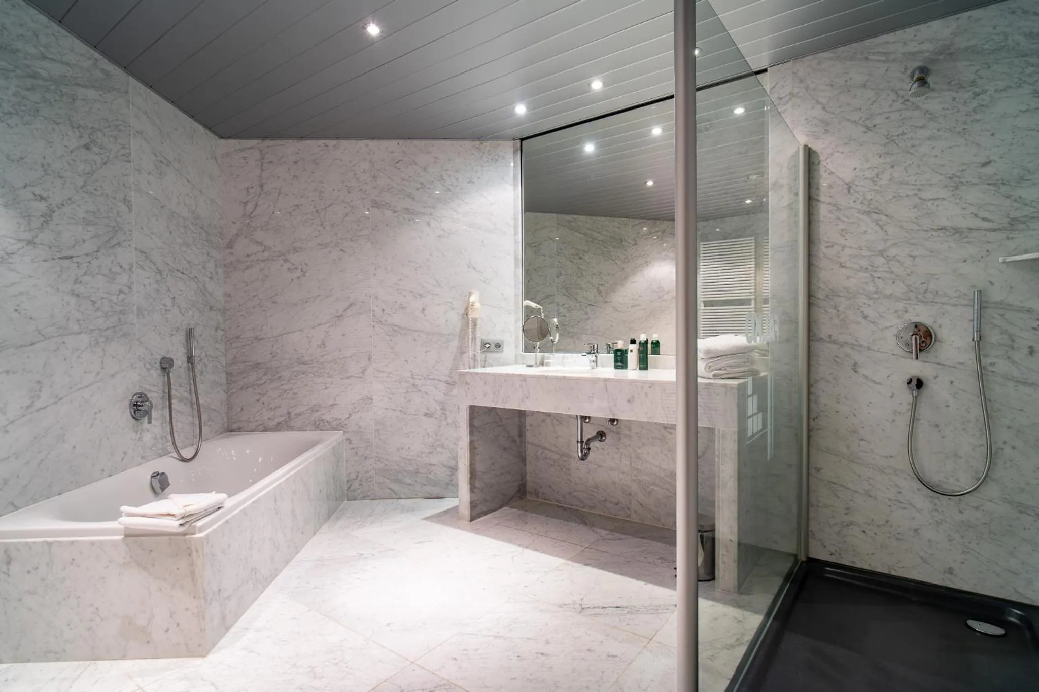 Shower in Hotel Falko