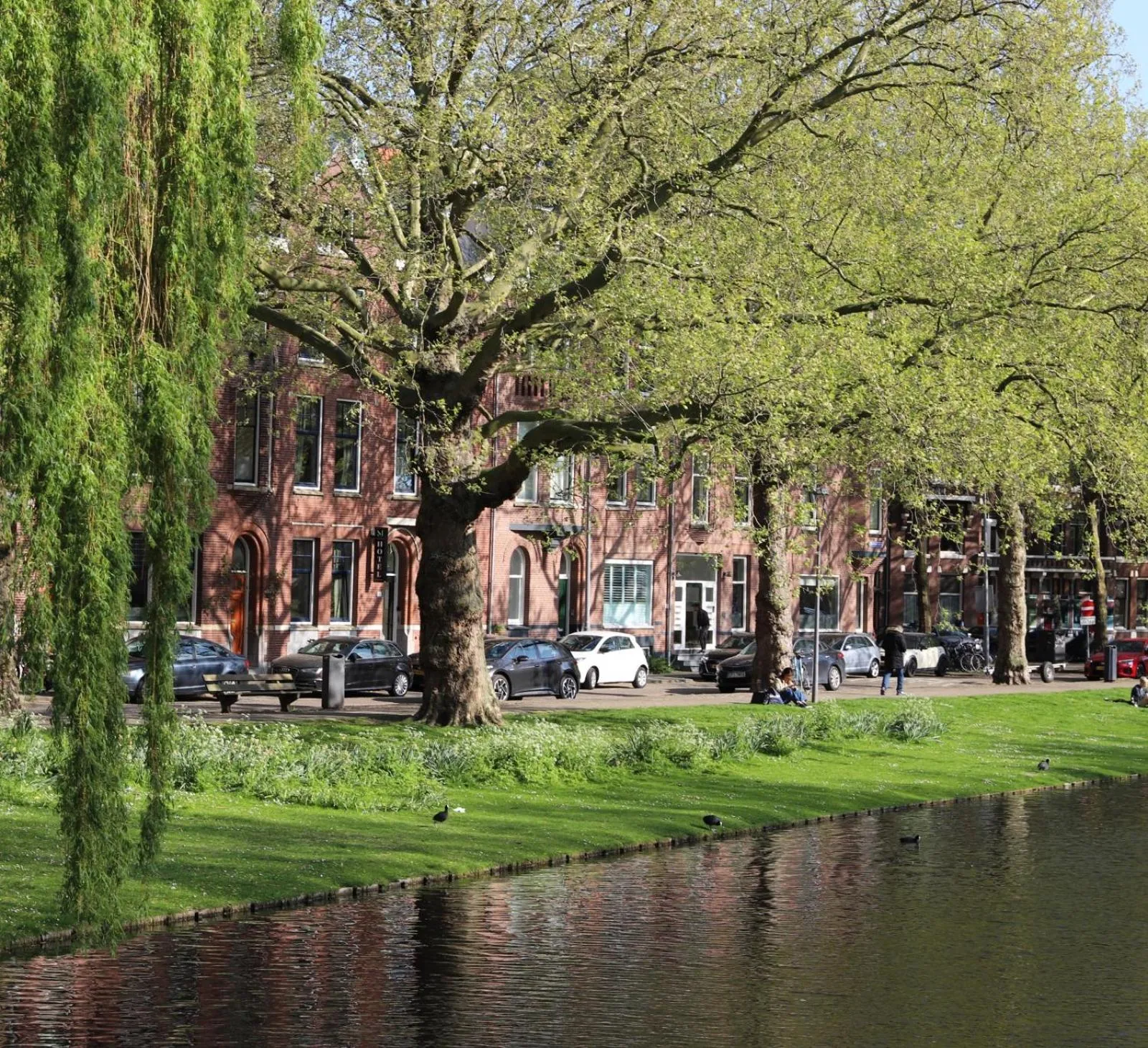 Garden view in Mr.Lewis Rotterdam