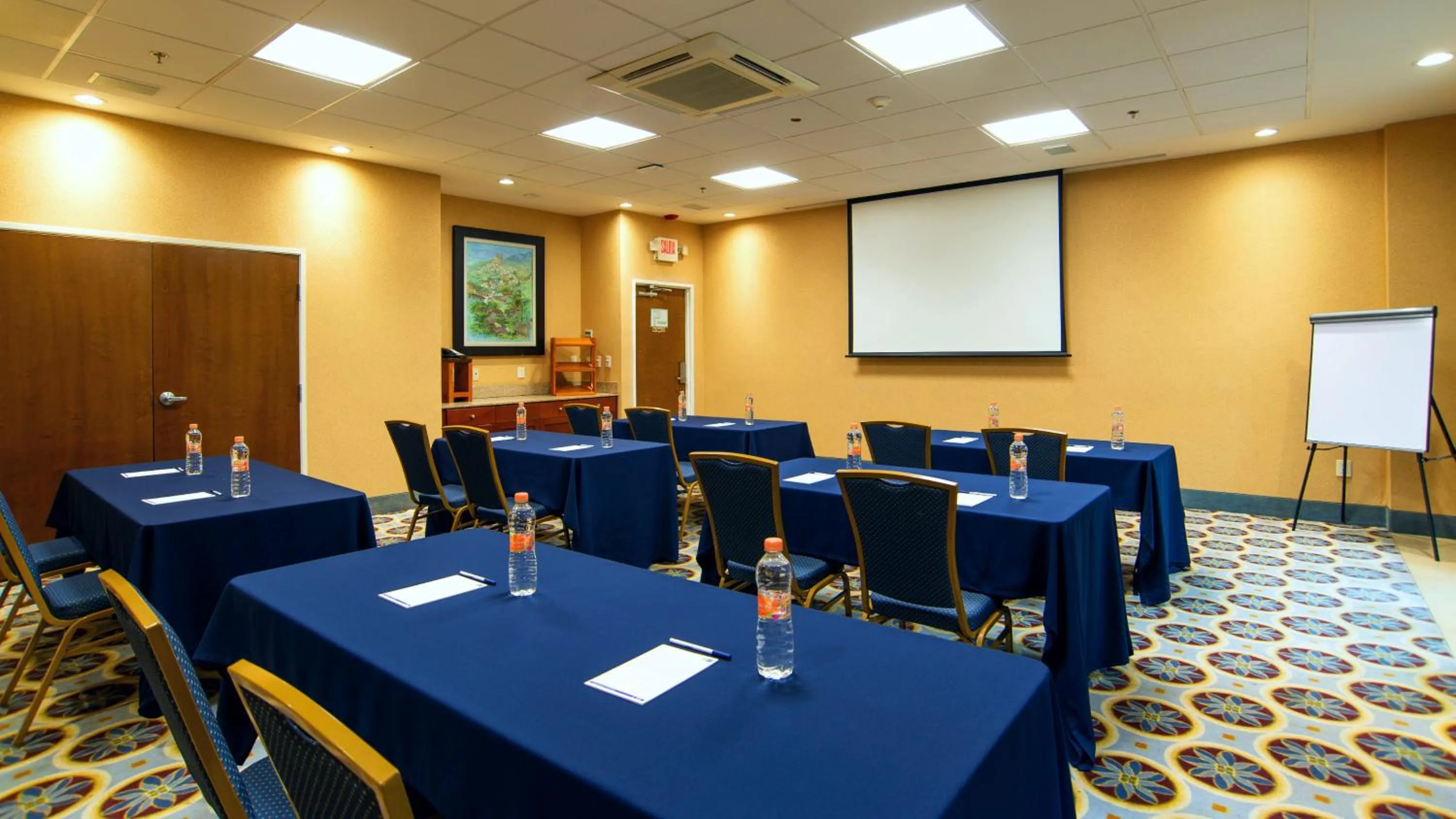Meeting/conference room in Holiday Inn Express & Suites Cuernavaca by IHG