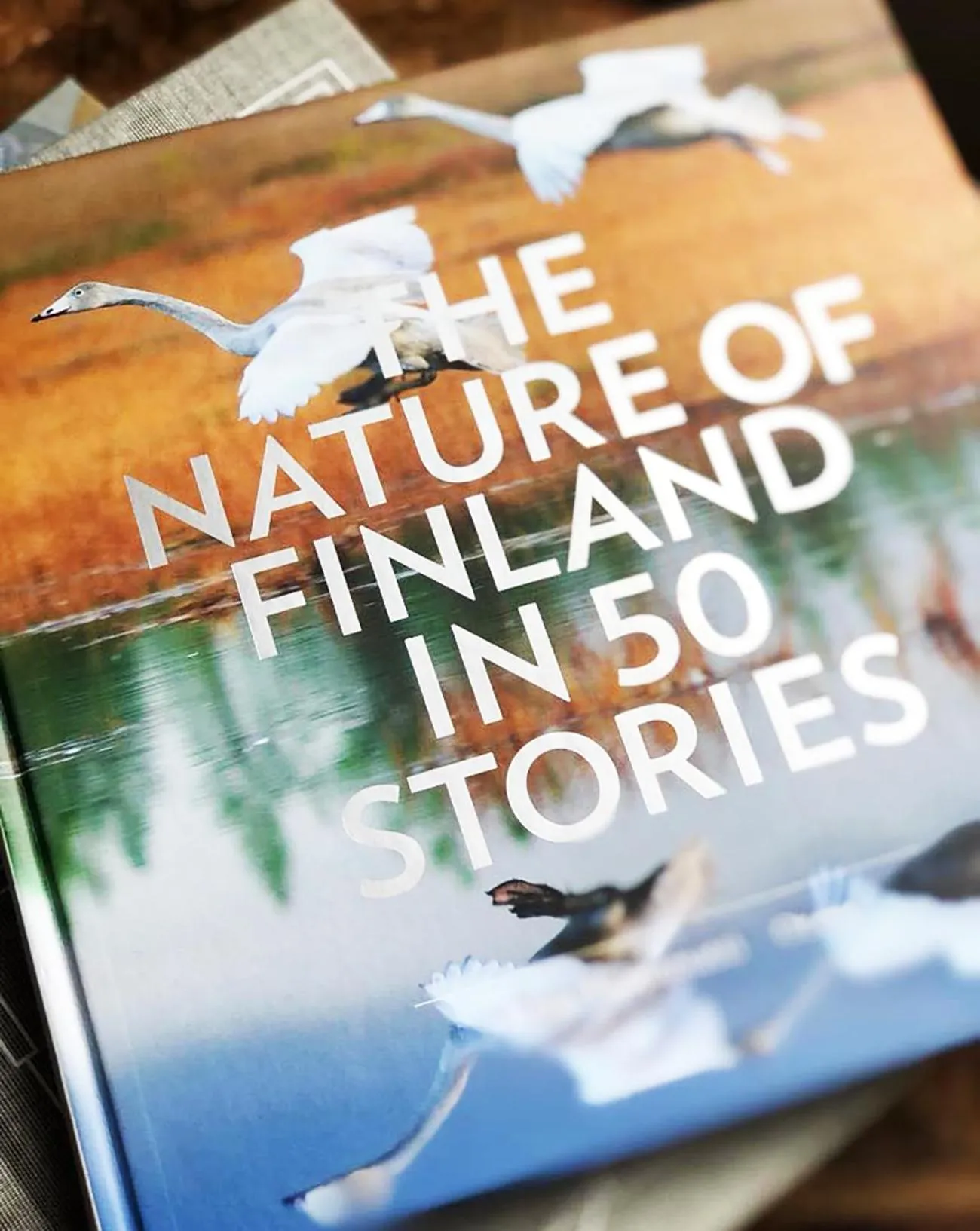 Entertainment in Eleonora Bed & Breakfast