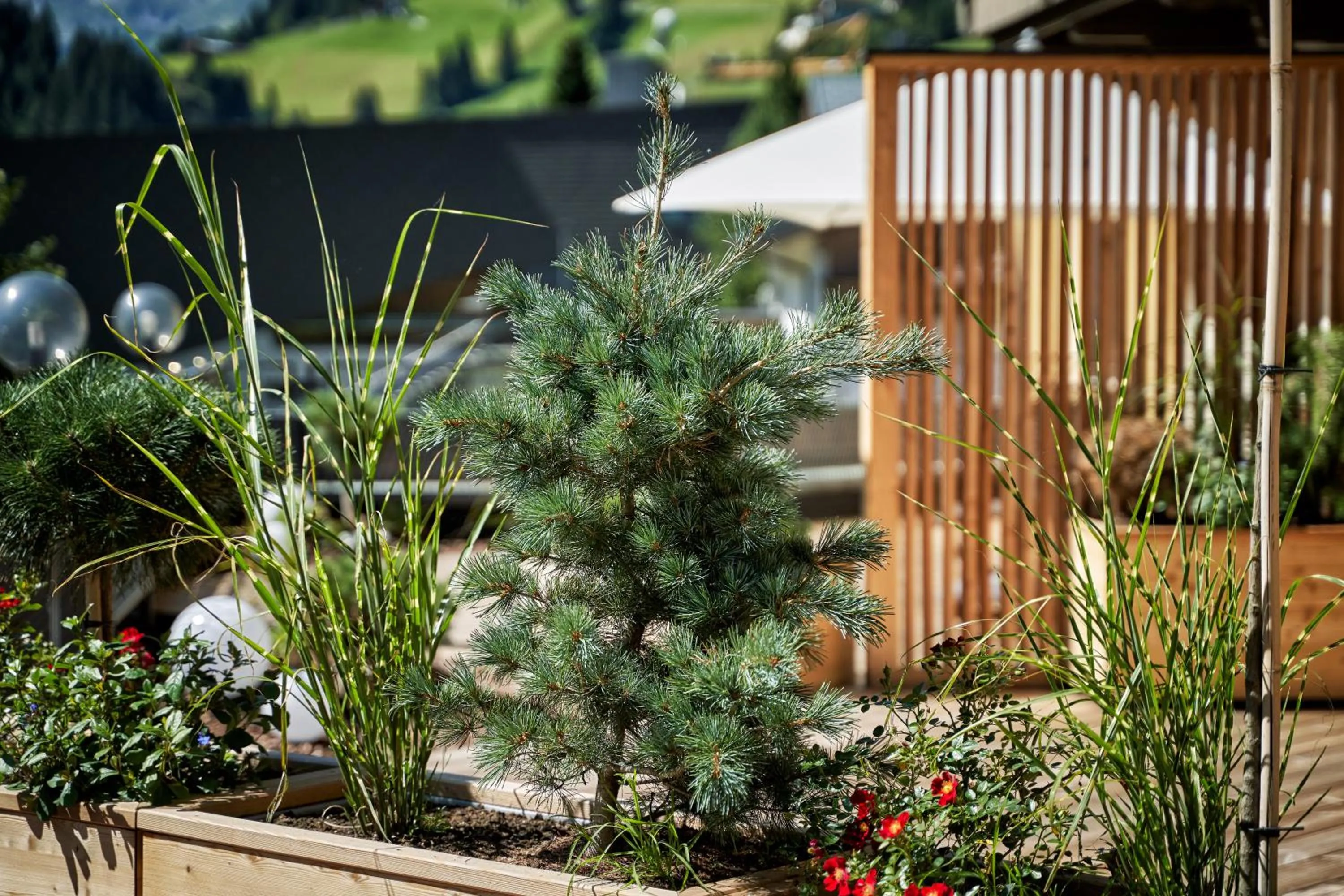 Property building in Brugger's Genießerhotel Lanersbacherhof