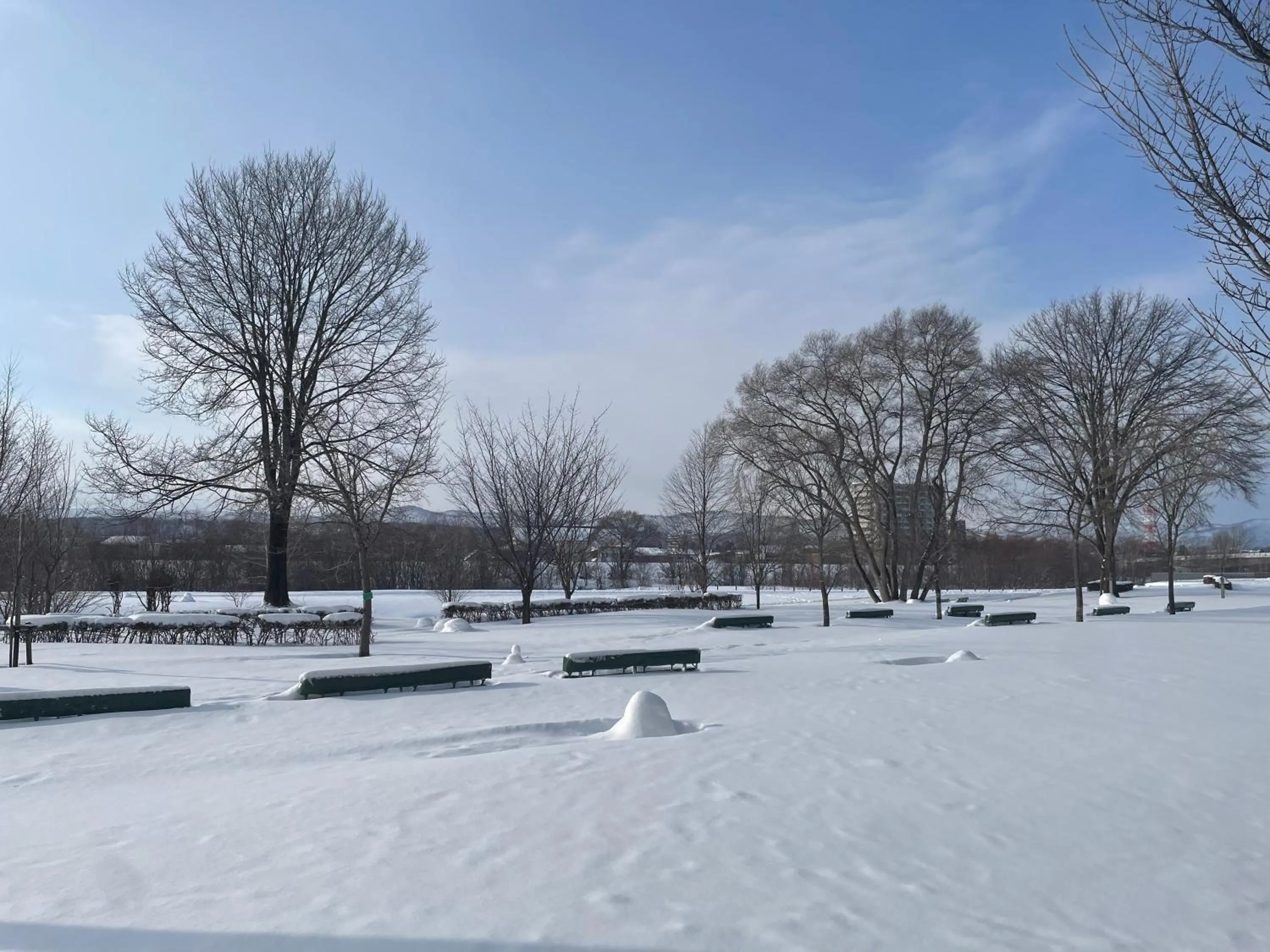 Nearby landmark in HOTEL AMANEK Asahikawa