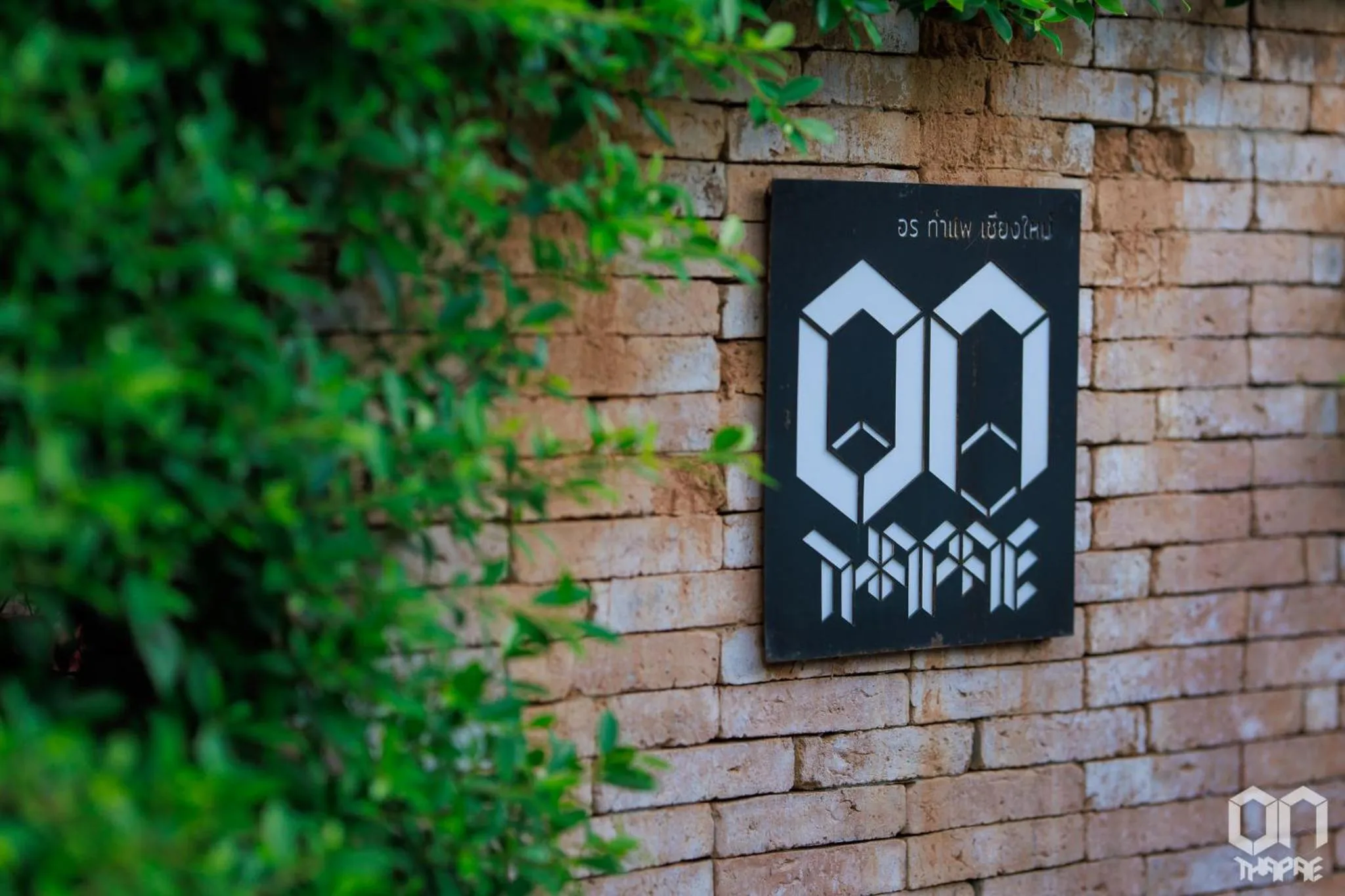 Logo/Certificate/Sign in ON Thapae Gate Chiangmai