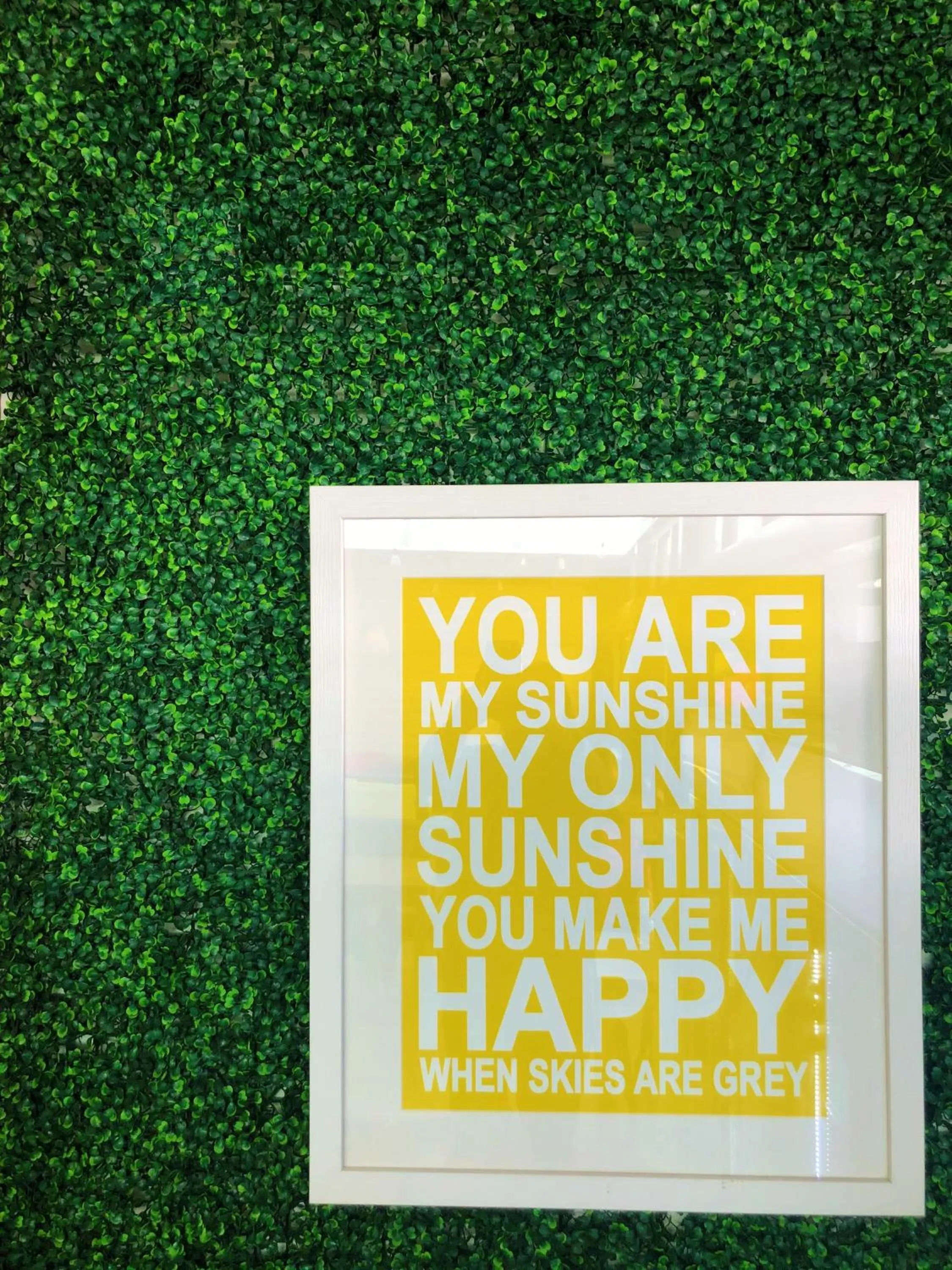 Logo/Certificate/Sign in Tequila Sunrise Hostel Surfers Paradise