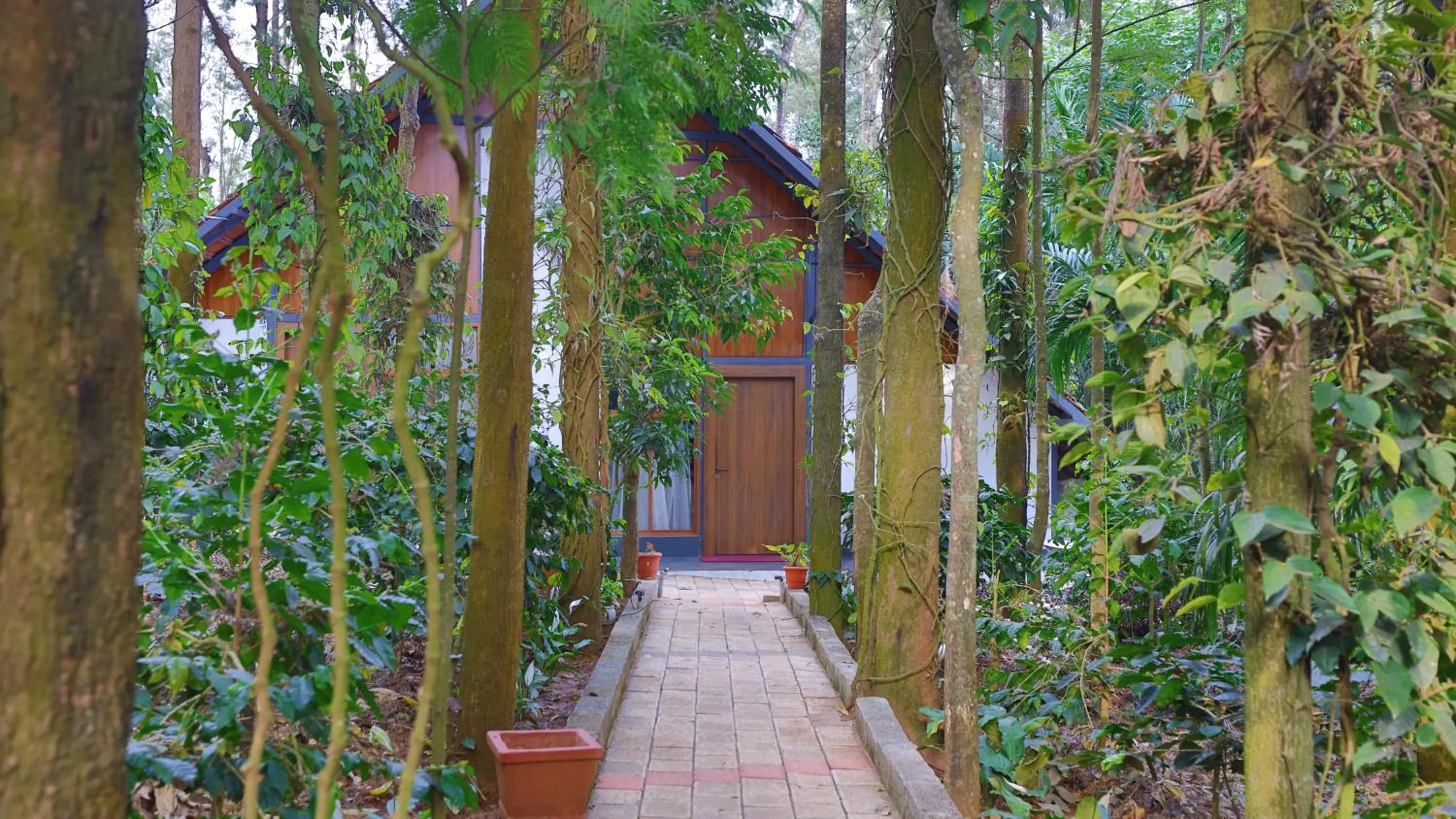 Facade/entrance in The Spectrum Resort - Chikmagalur