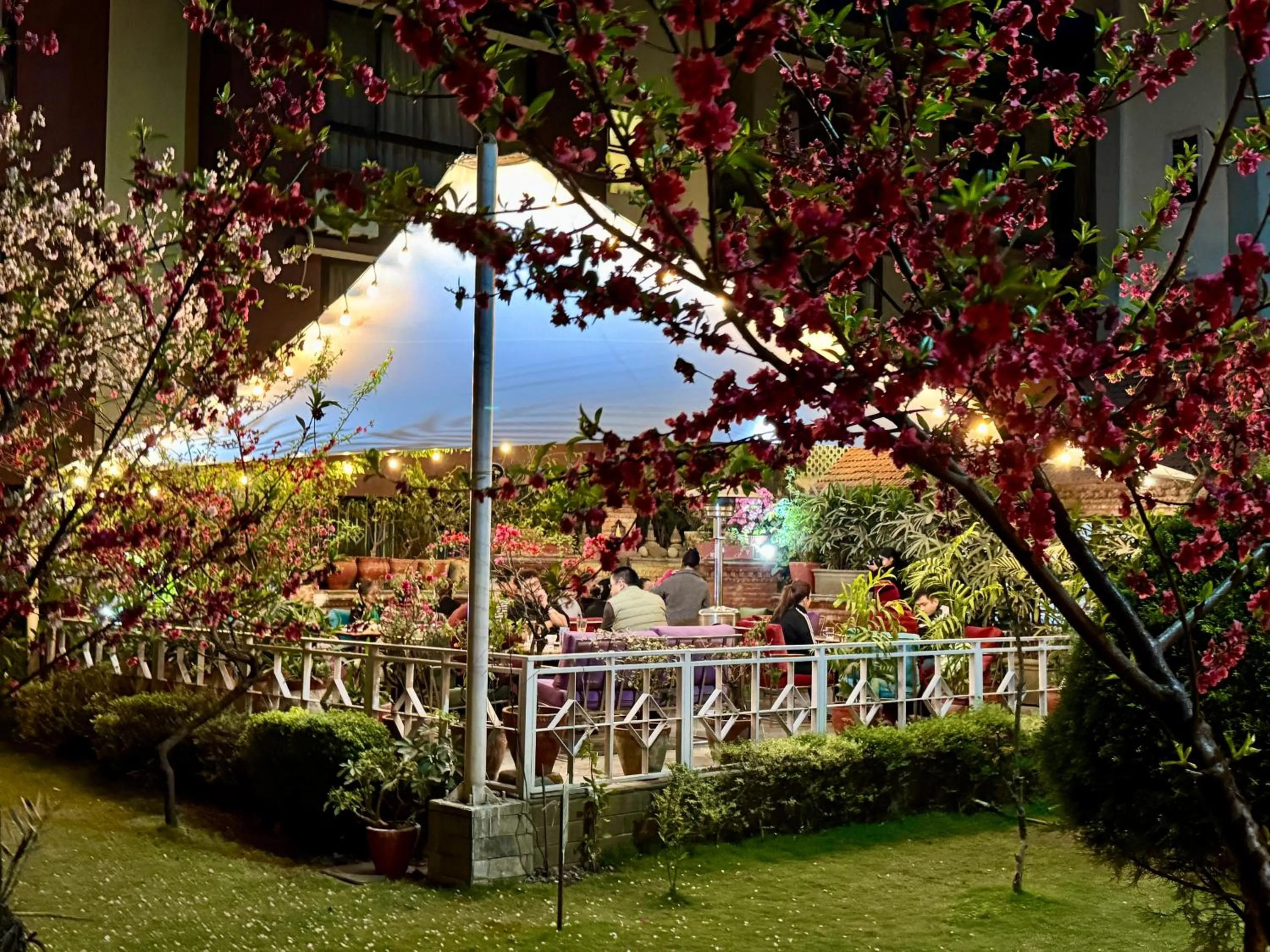 Restaurant/places to eat in Hotel Siddhi Manakamana