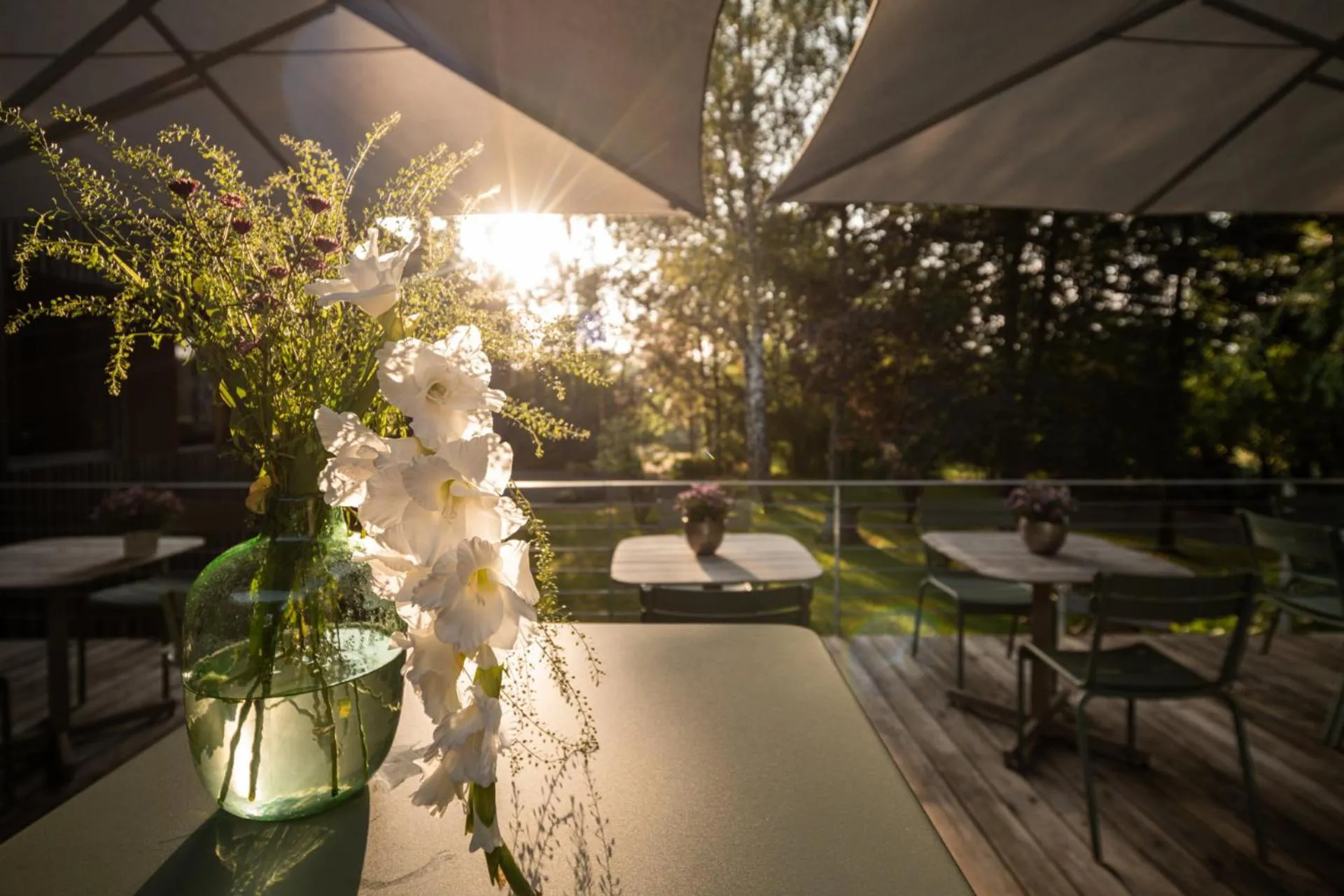 Restaurant/places to eat in Hotel Sturm Bio- & Wellnesshotel in der Rhön