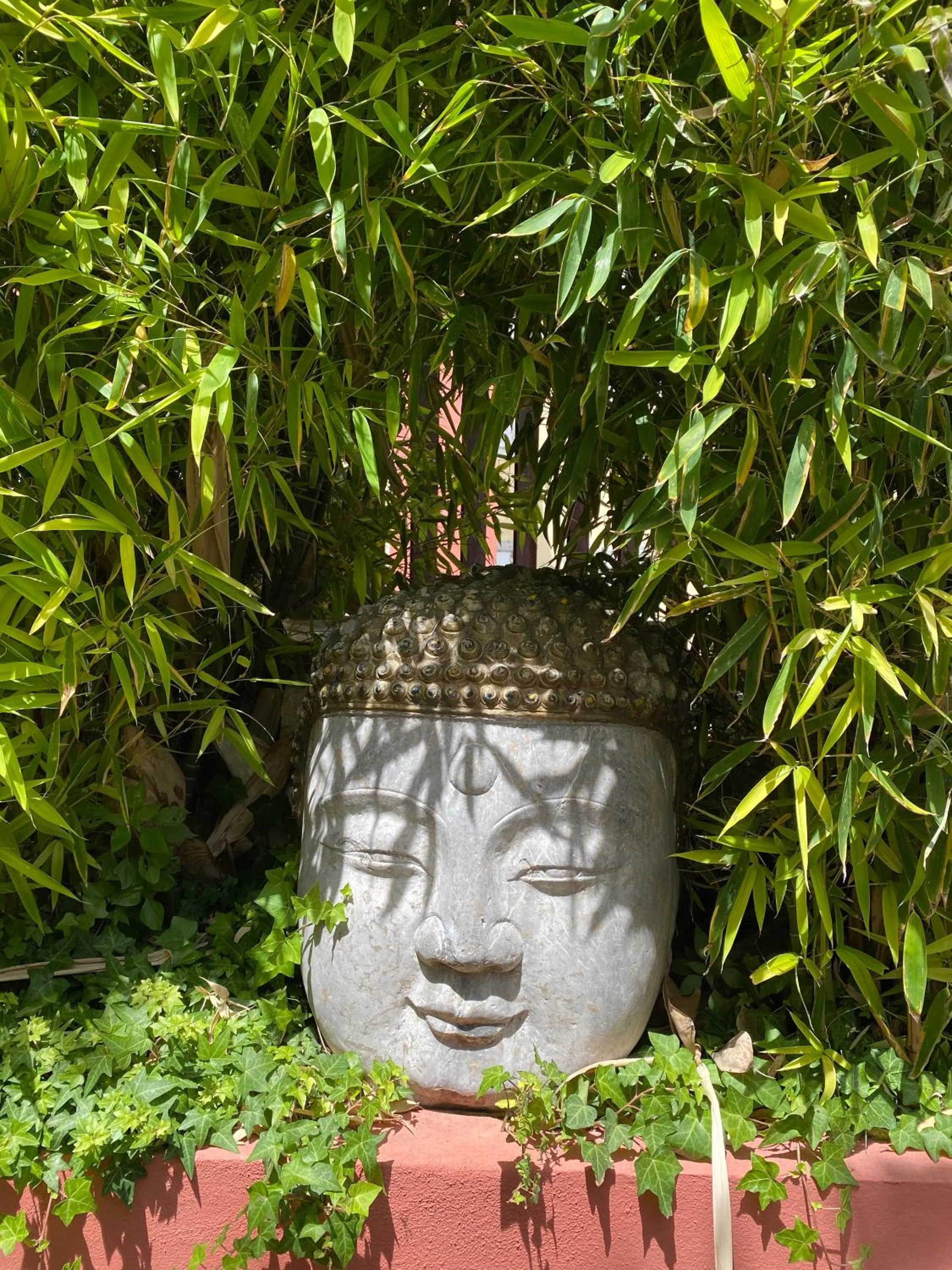 Garden in toctoctoc lisboa