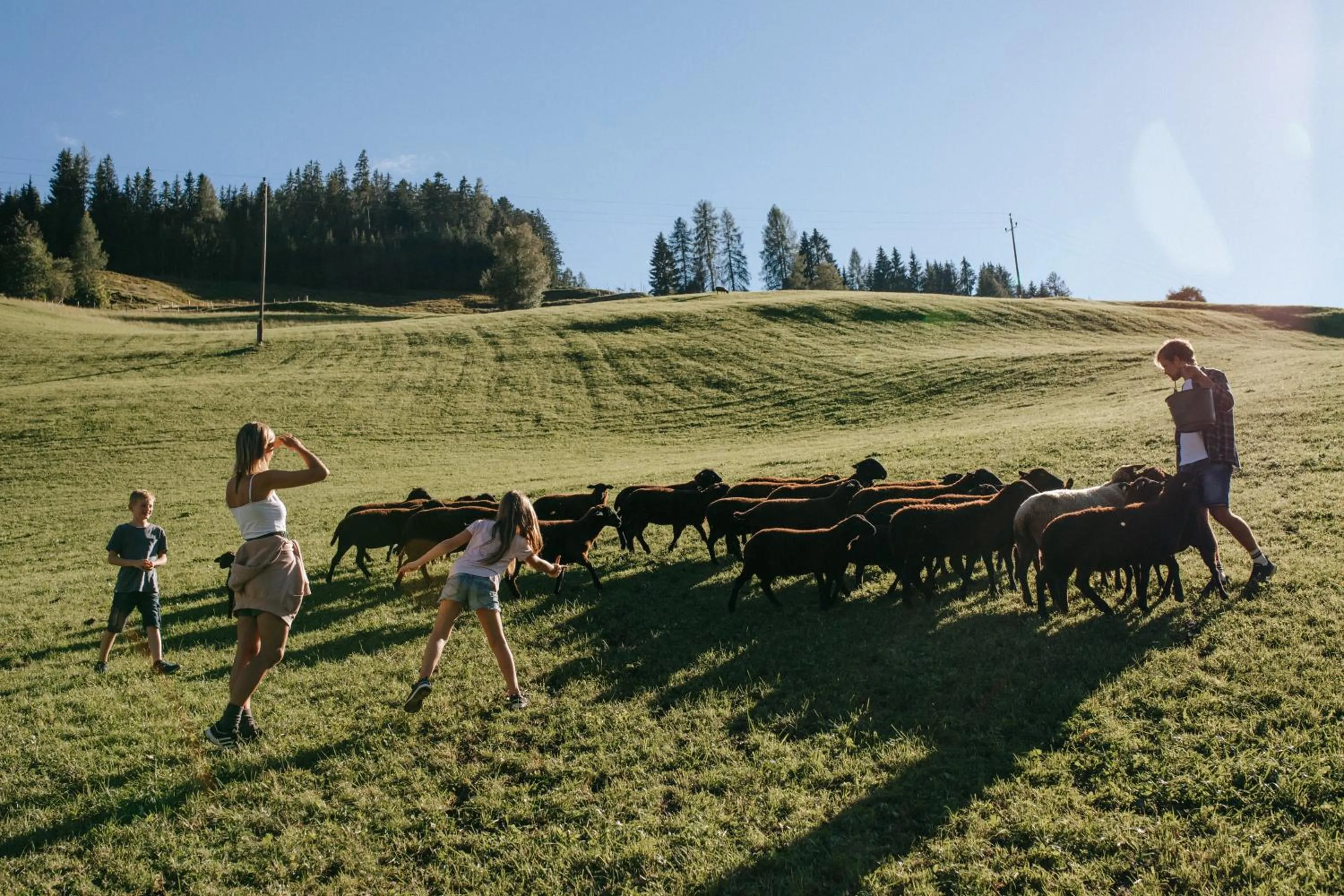 Hiking in Hotel Tauernhof