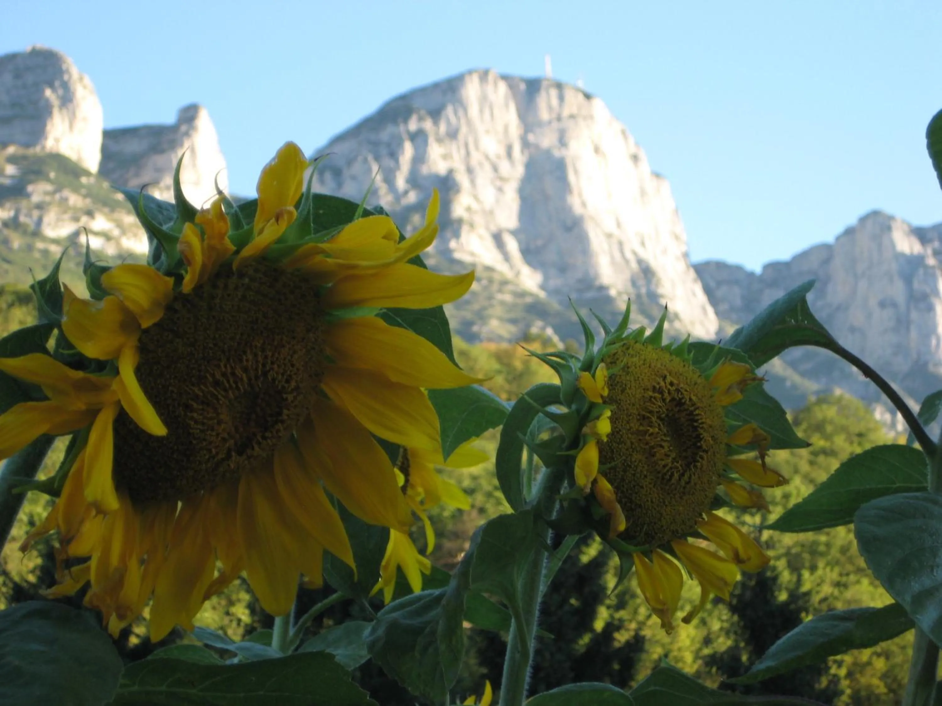Summer in RTA Hotel Le Vallene