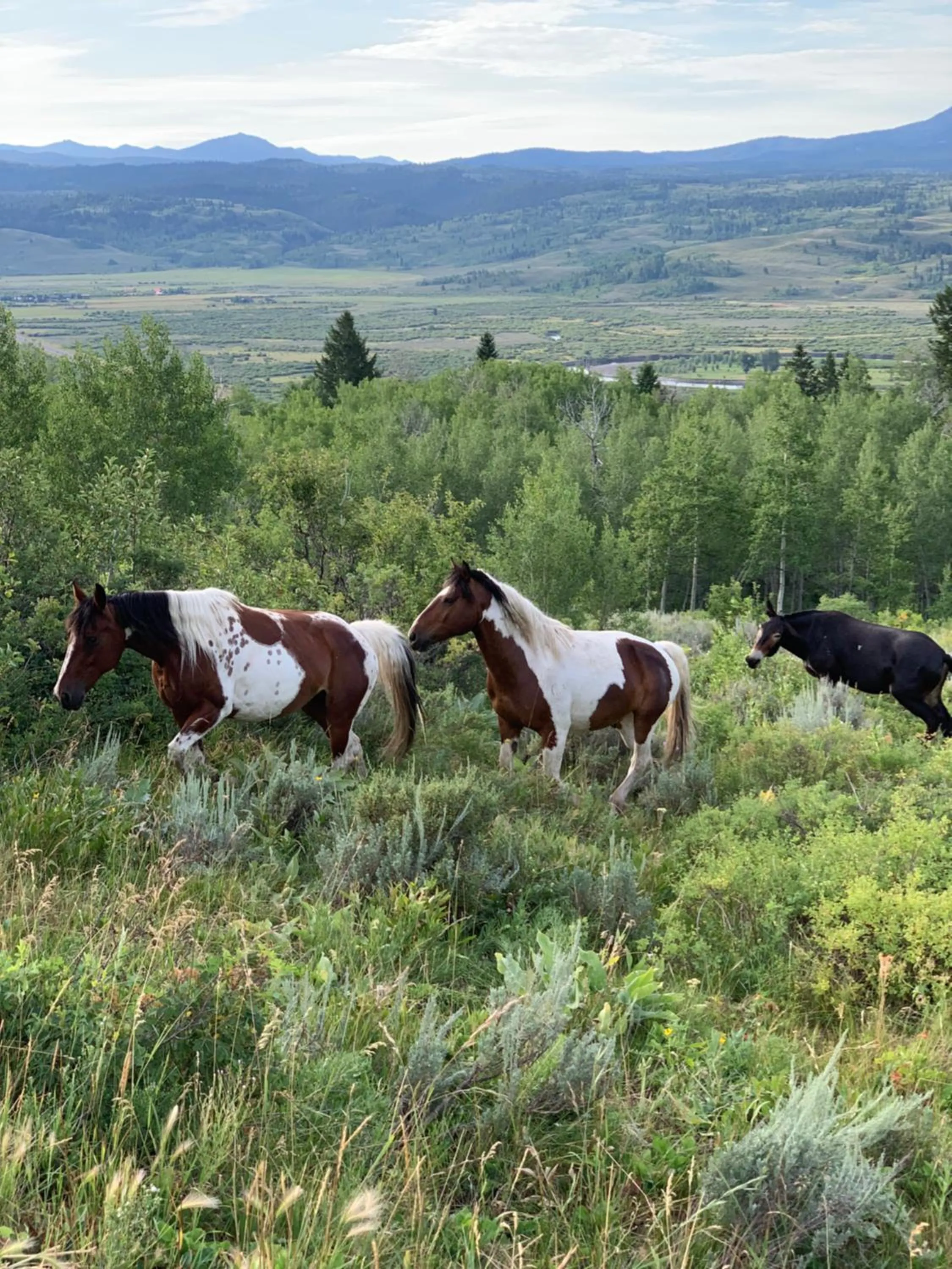 Horse-riding in Heart Six Ranch