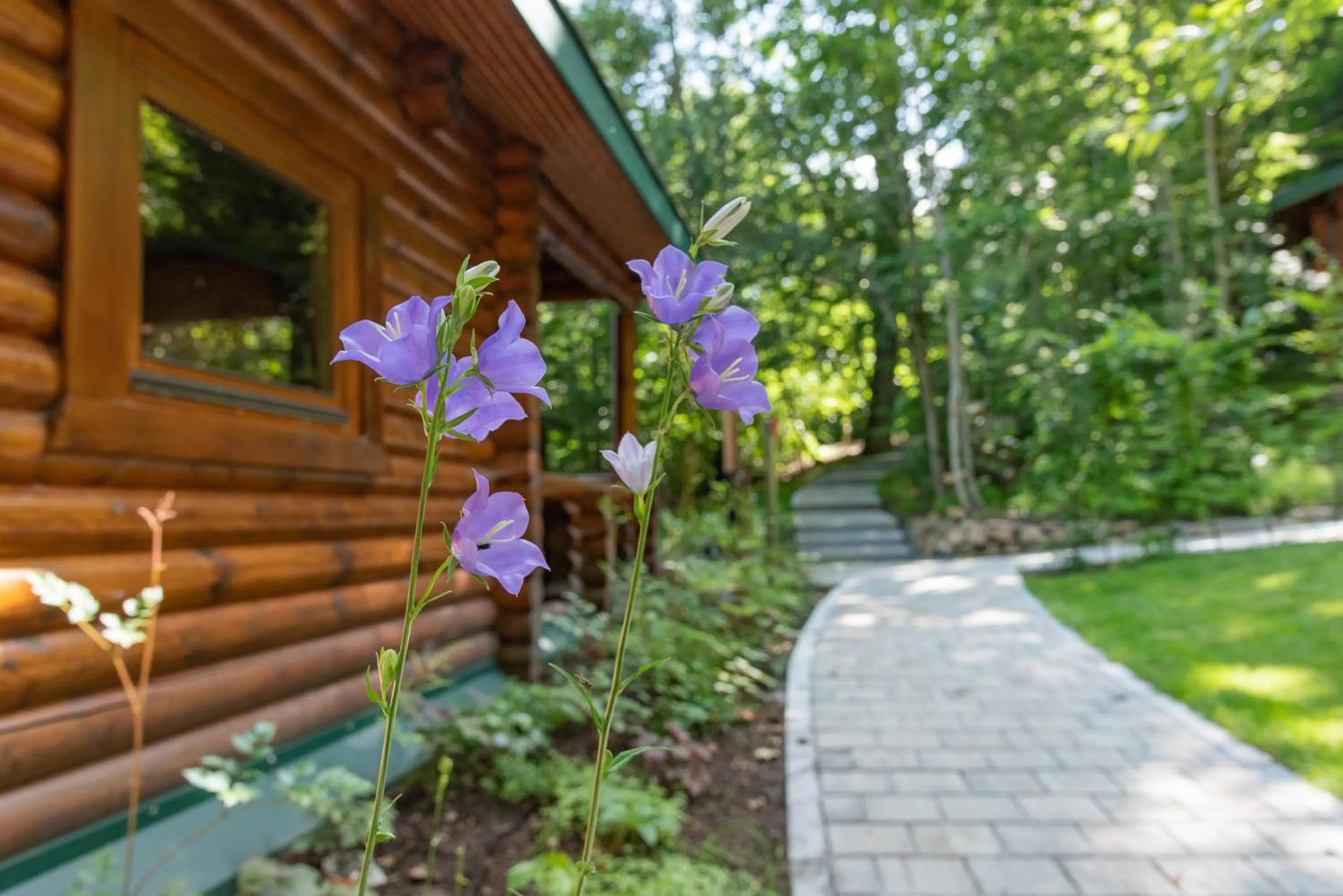 Activities in Robenstein Aktivhotel & SPA