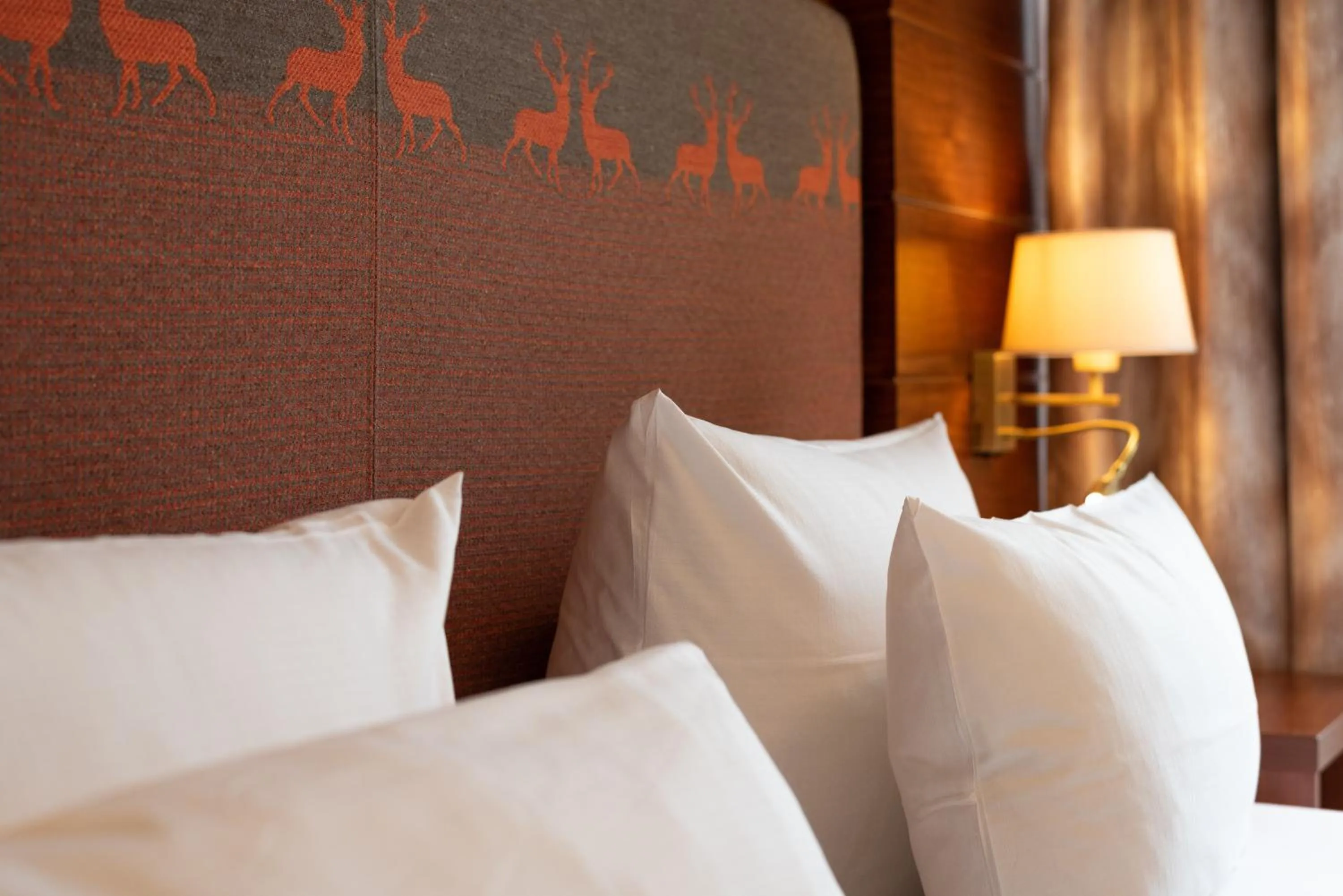 Photo of the whole room, Bed in Robenstein Aktivhotel & SPA