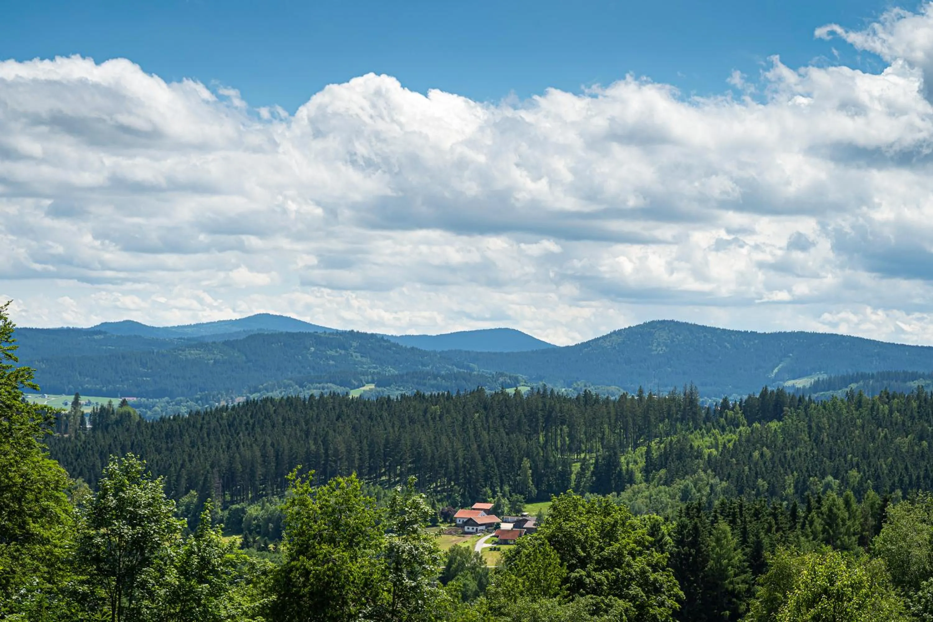 Natural landscape in Robenstein Aktivhotel & SPA